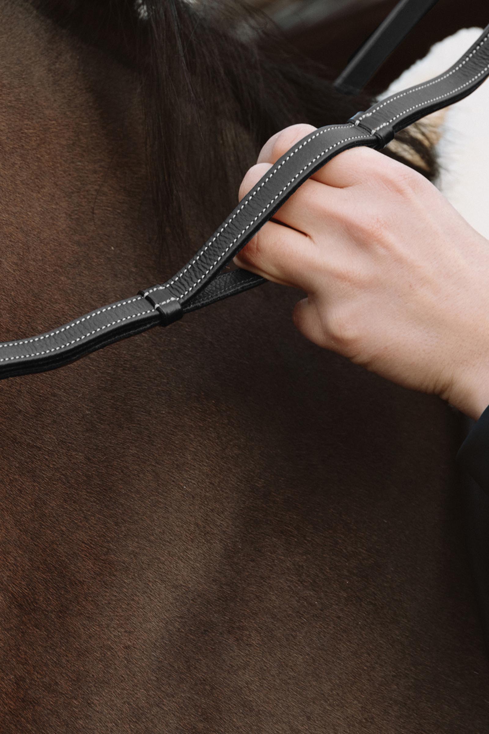 Dy'on Working riendas de cuero con topes de cuero 13 mm  