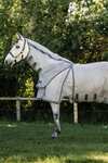 Horseware Rambo Optimo Protector Plus manta