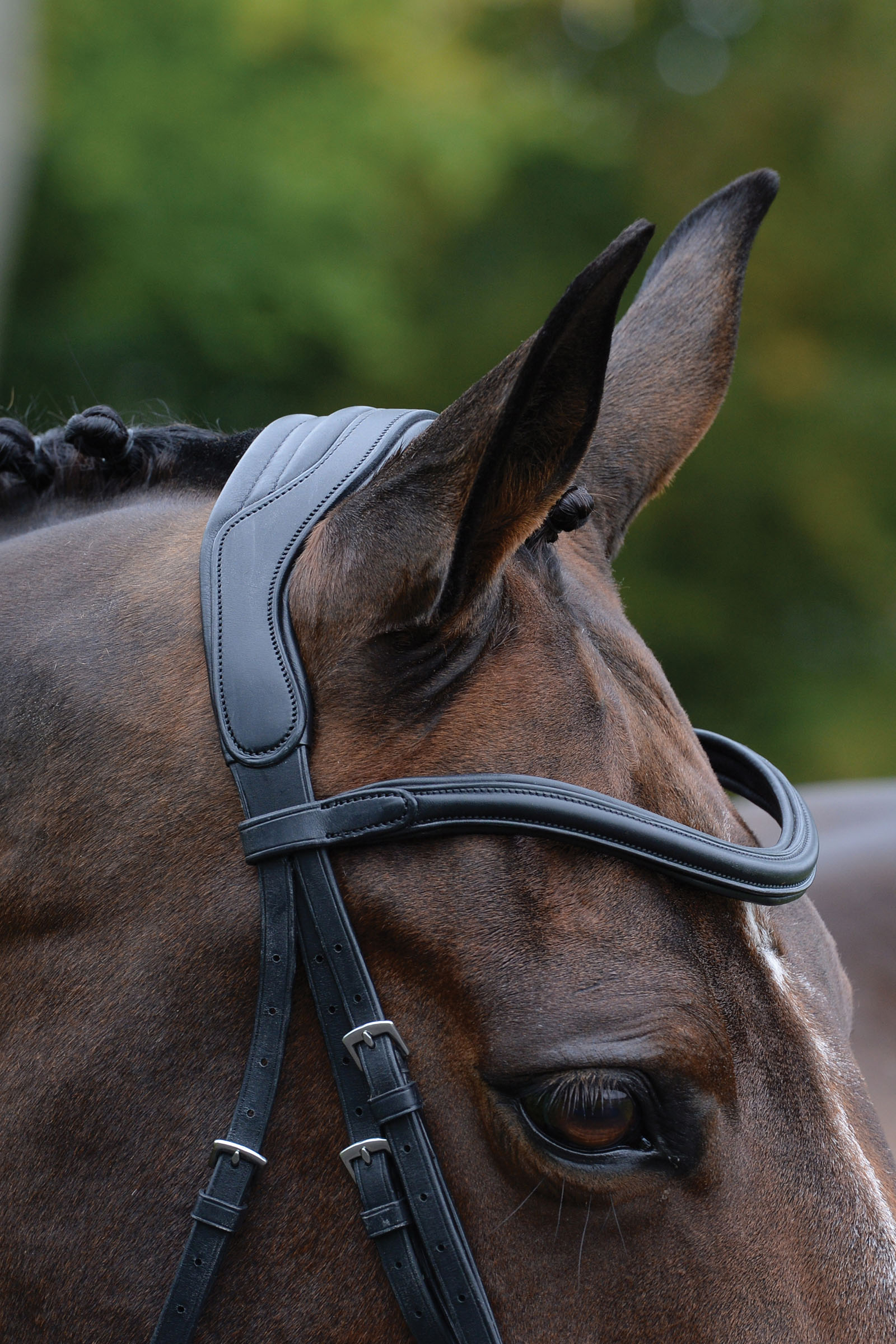 Collegiate Comfitec Vogue cabezada anatómica