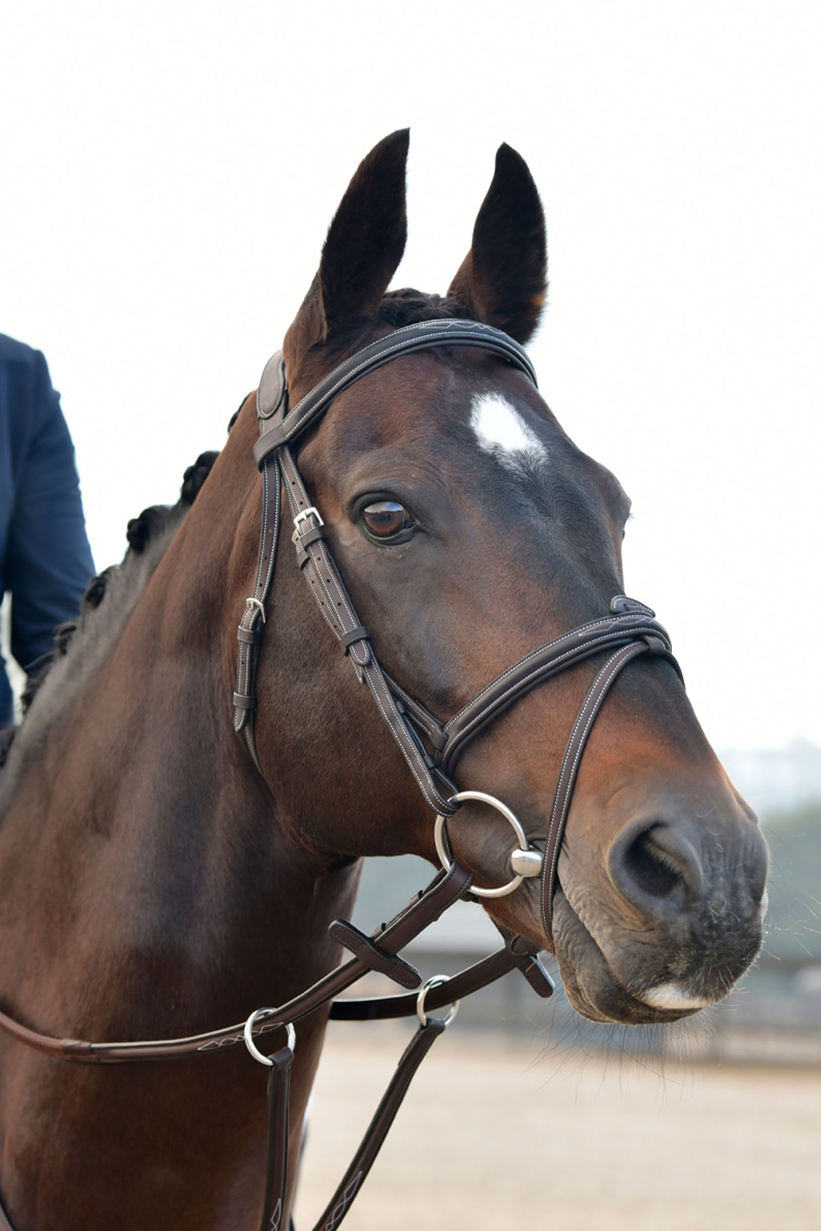 Collegiate Comfitec Opulux Fancy Stitch cabezada hanoveriana acolchada