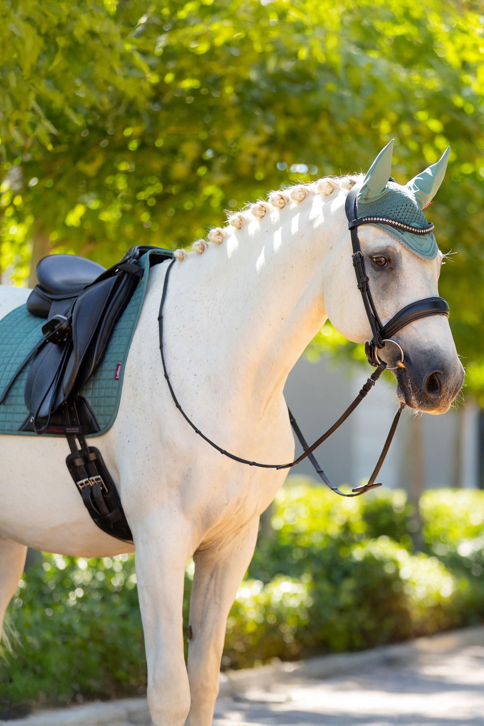 LeMieux Suede mantilla doma