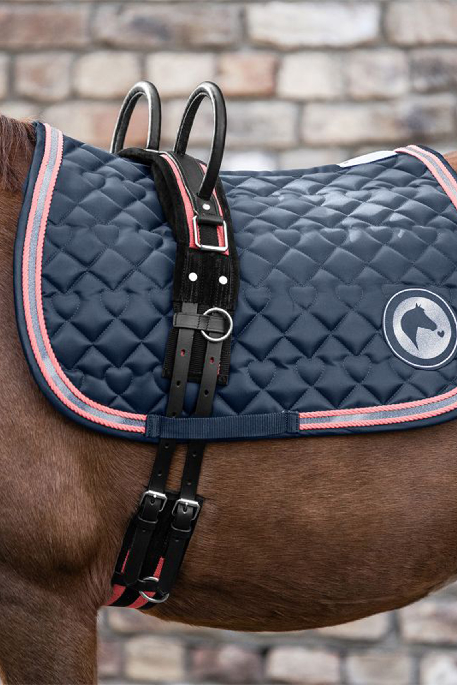 Surcingle Waldhausen con dos asas