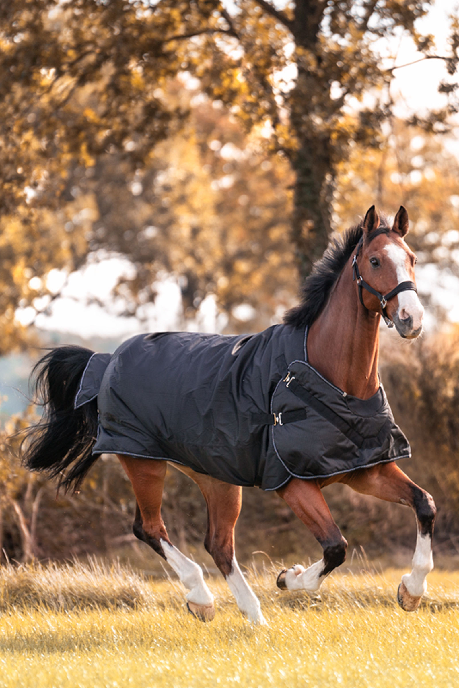 Kavalkade Halifax 2en1 Manta de Exterior y Manta para Caminador 200g