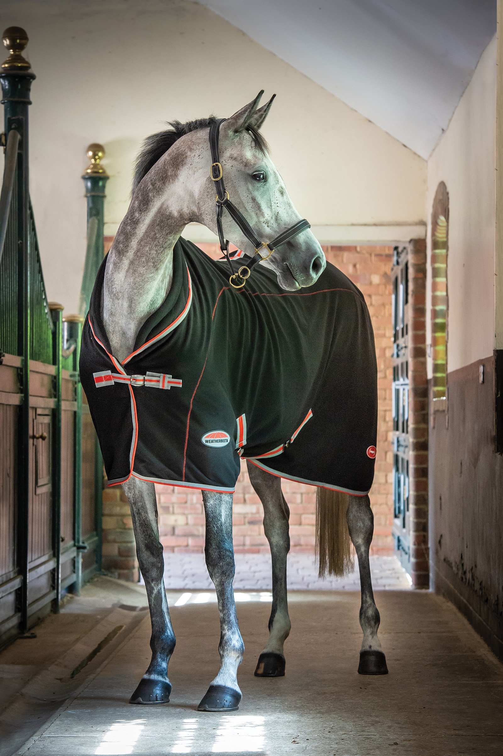 Manta con Cuello Estándar Weatherbeeta Therapy-Tec