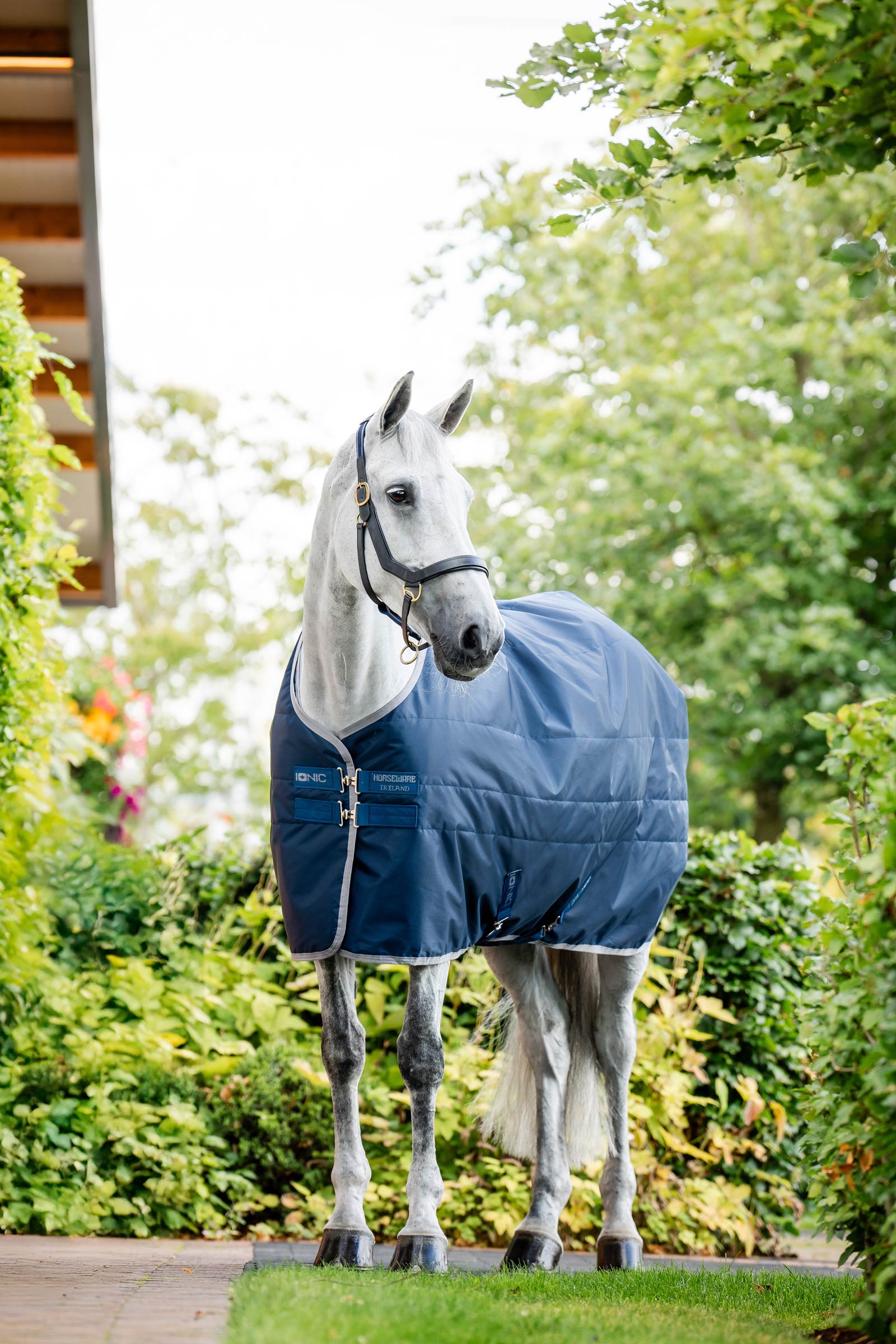 Horseware Ionic Therapy Manta de Cuadra, 50g