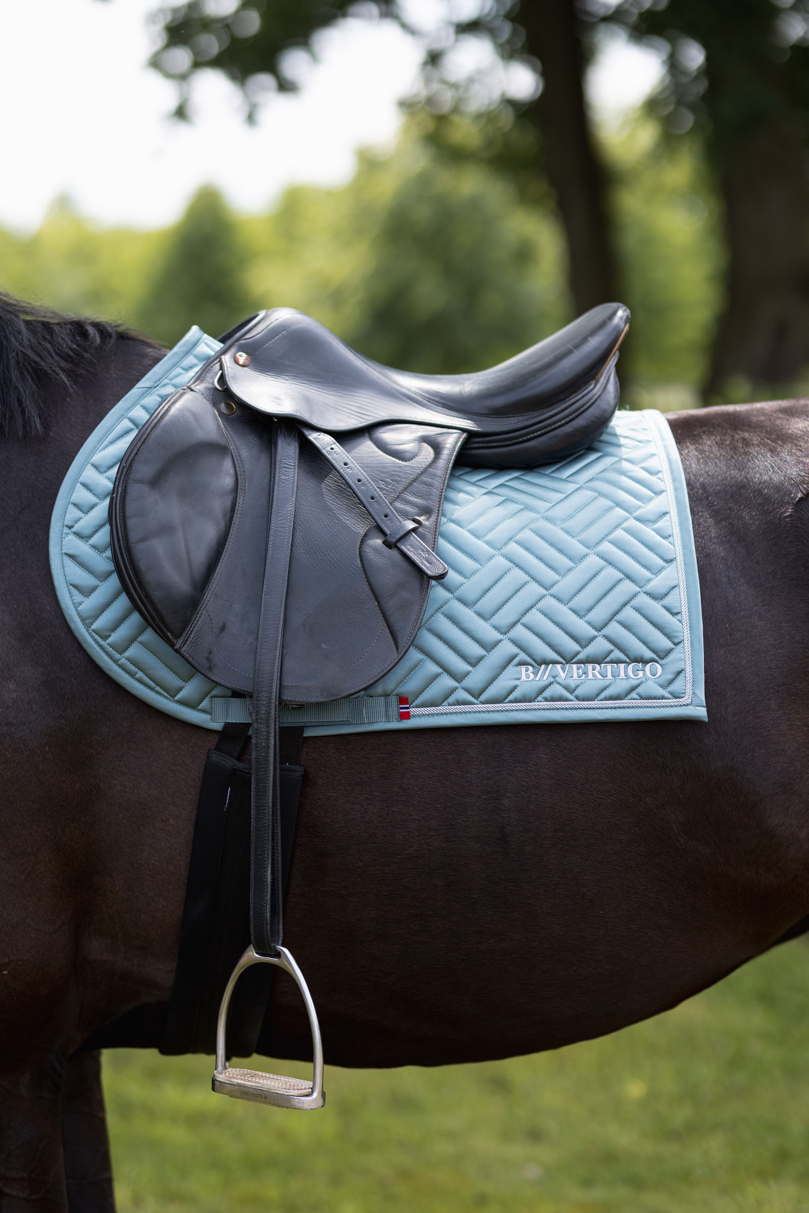 Mantilla de Salto B Vertigo Pure Engineering