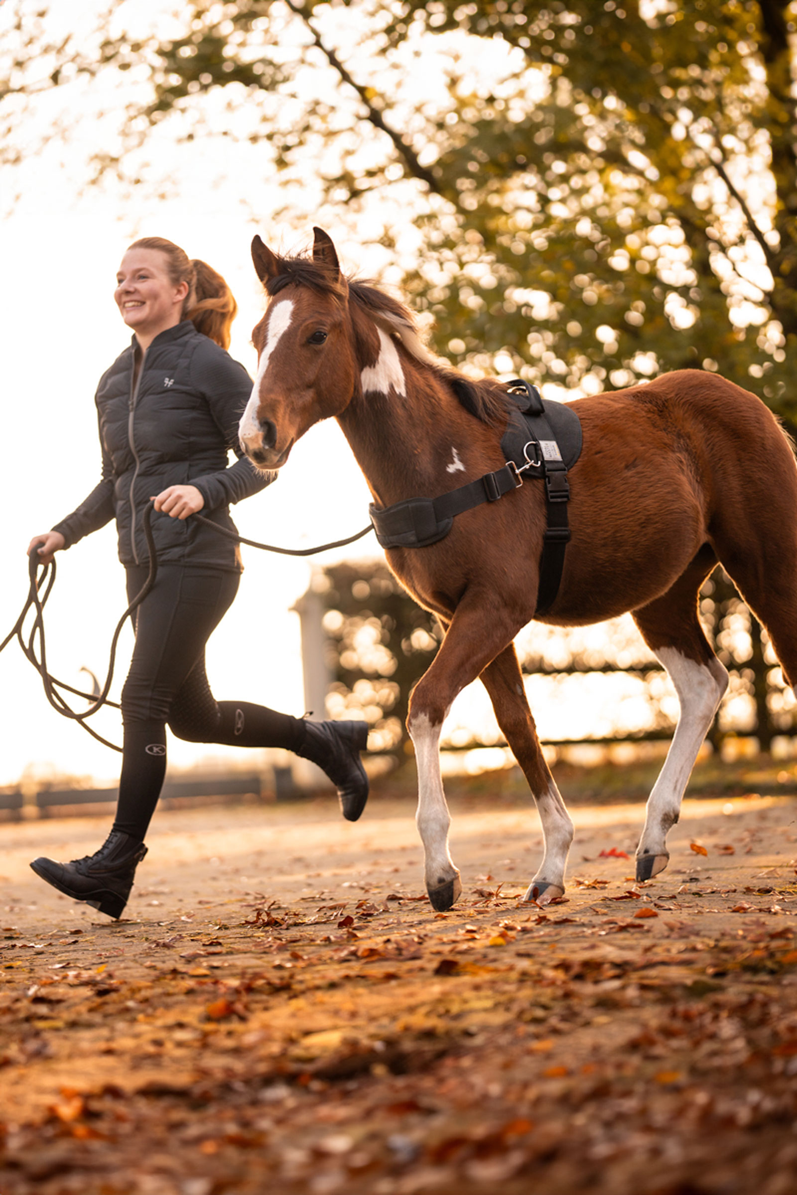 Kavalkade Foalmaster Arnés para potros con asa
