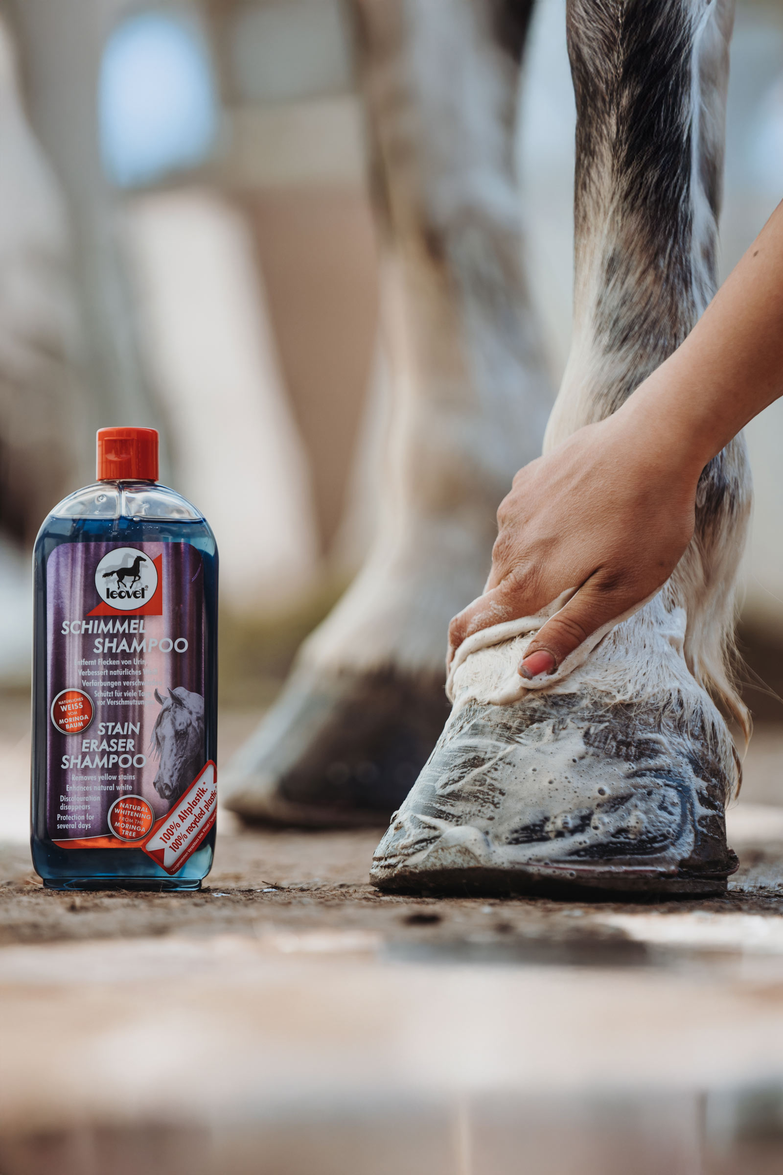 Champú Antimanchas Leovet