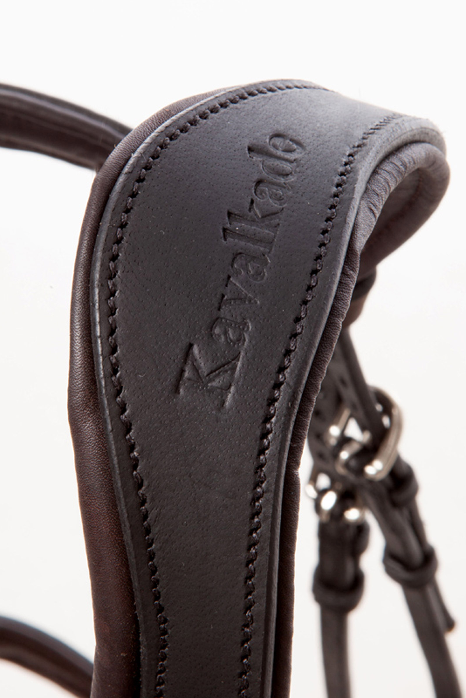 Cabezada Kavalkade EveryDay