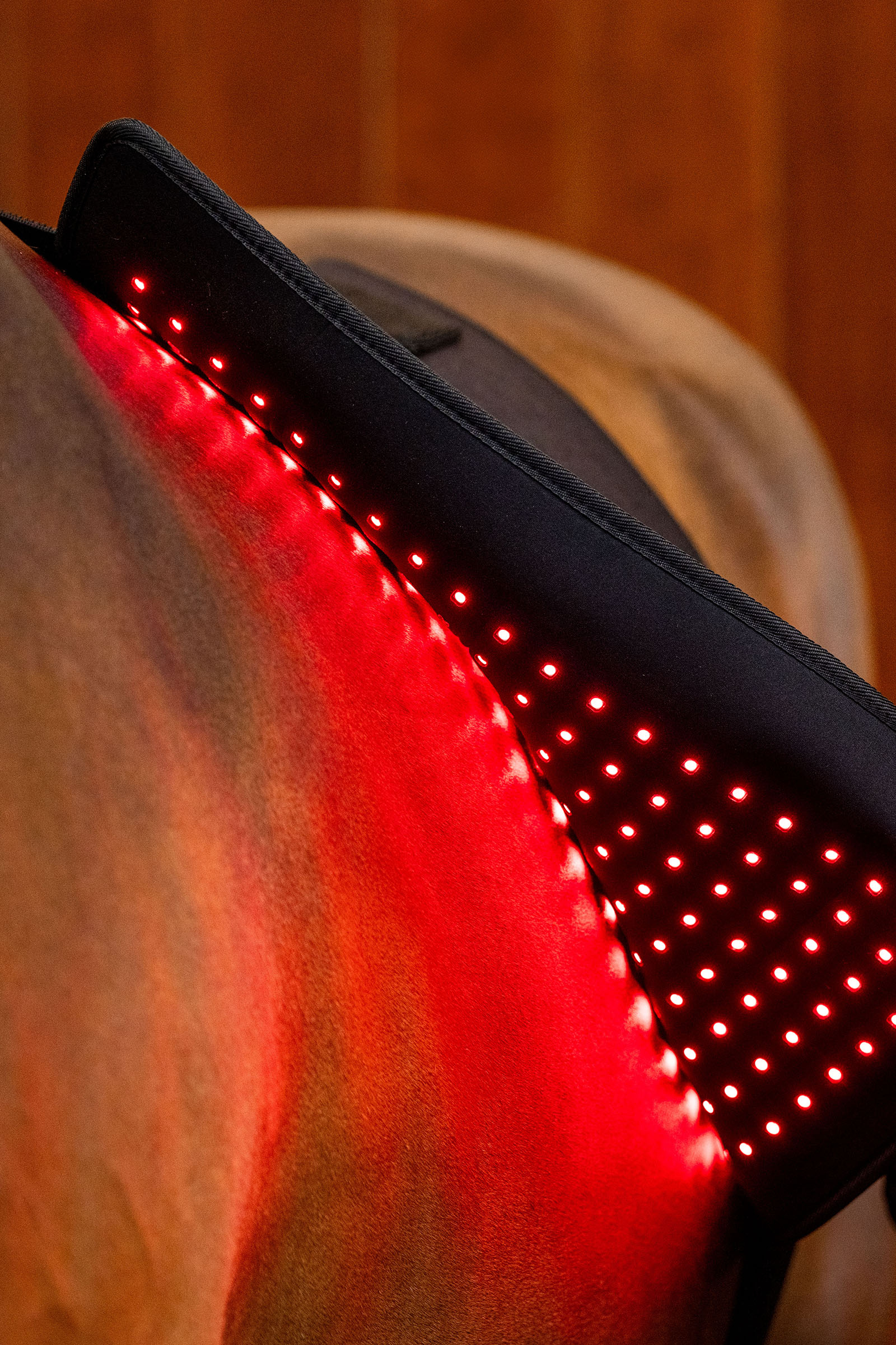 Horseware Pad terap&eacute;utico LED de luz roja