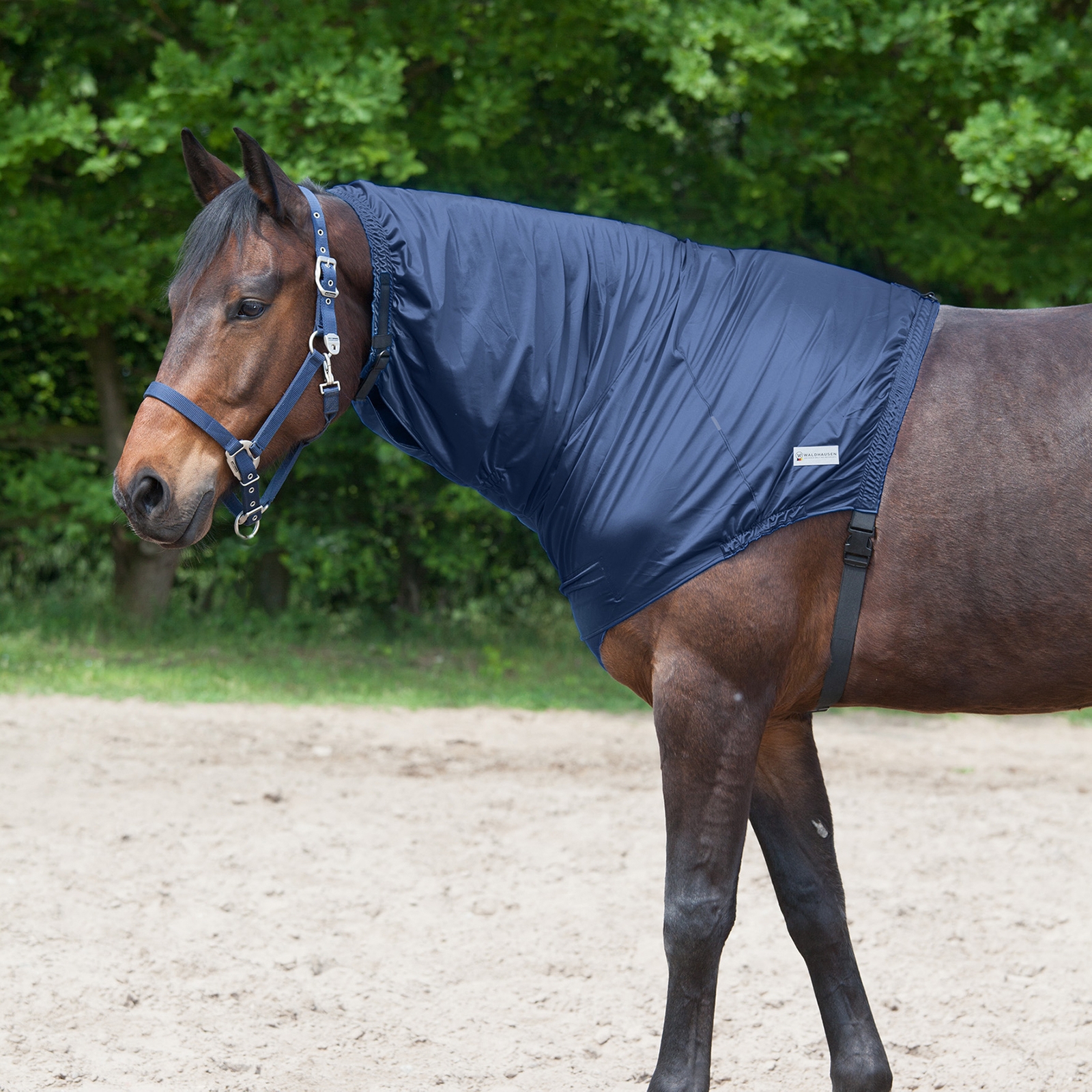 Waldhausen pieza de cuello para eczema