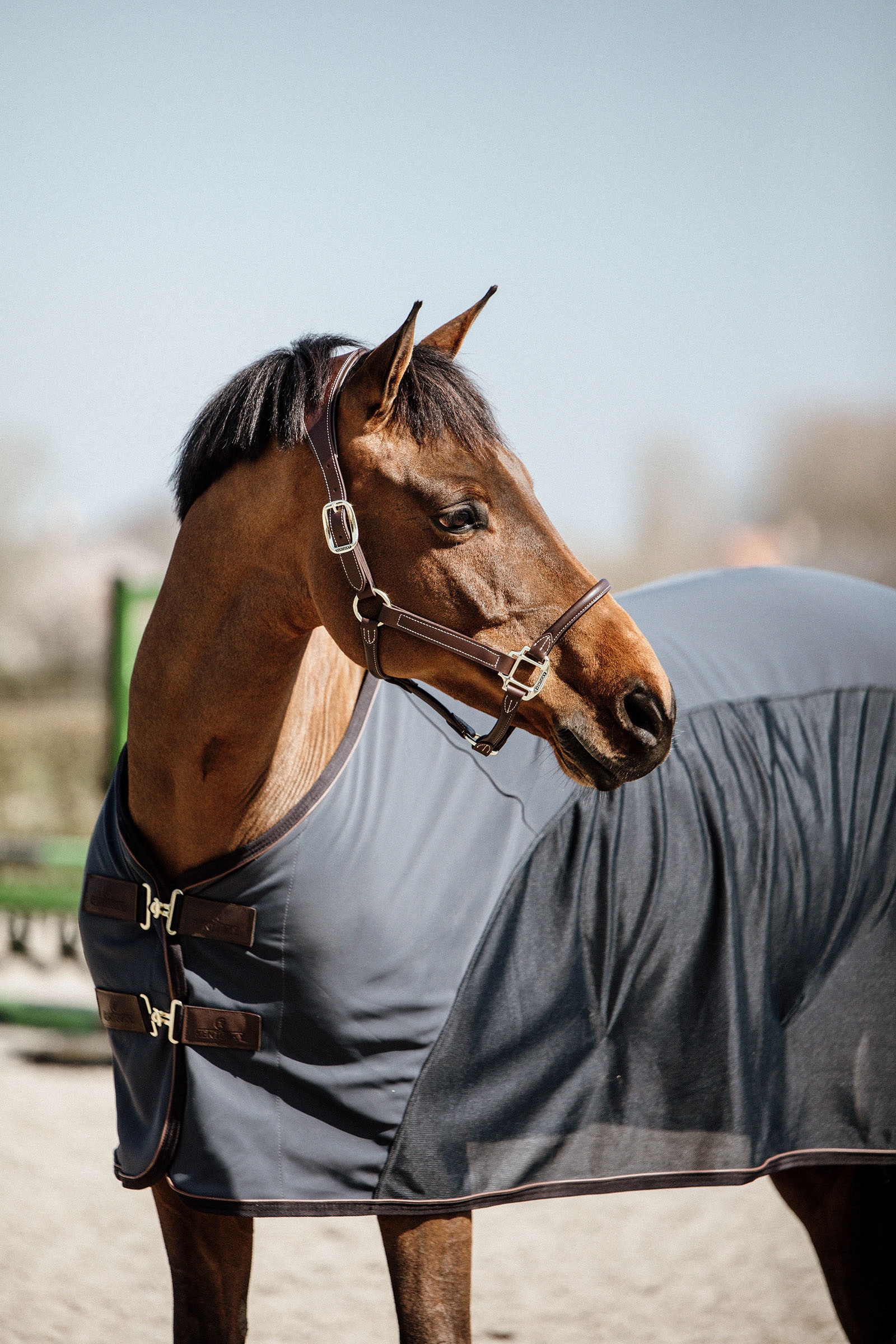 Refrigerador Softshell de Kentucky Horsewear