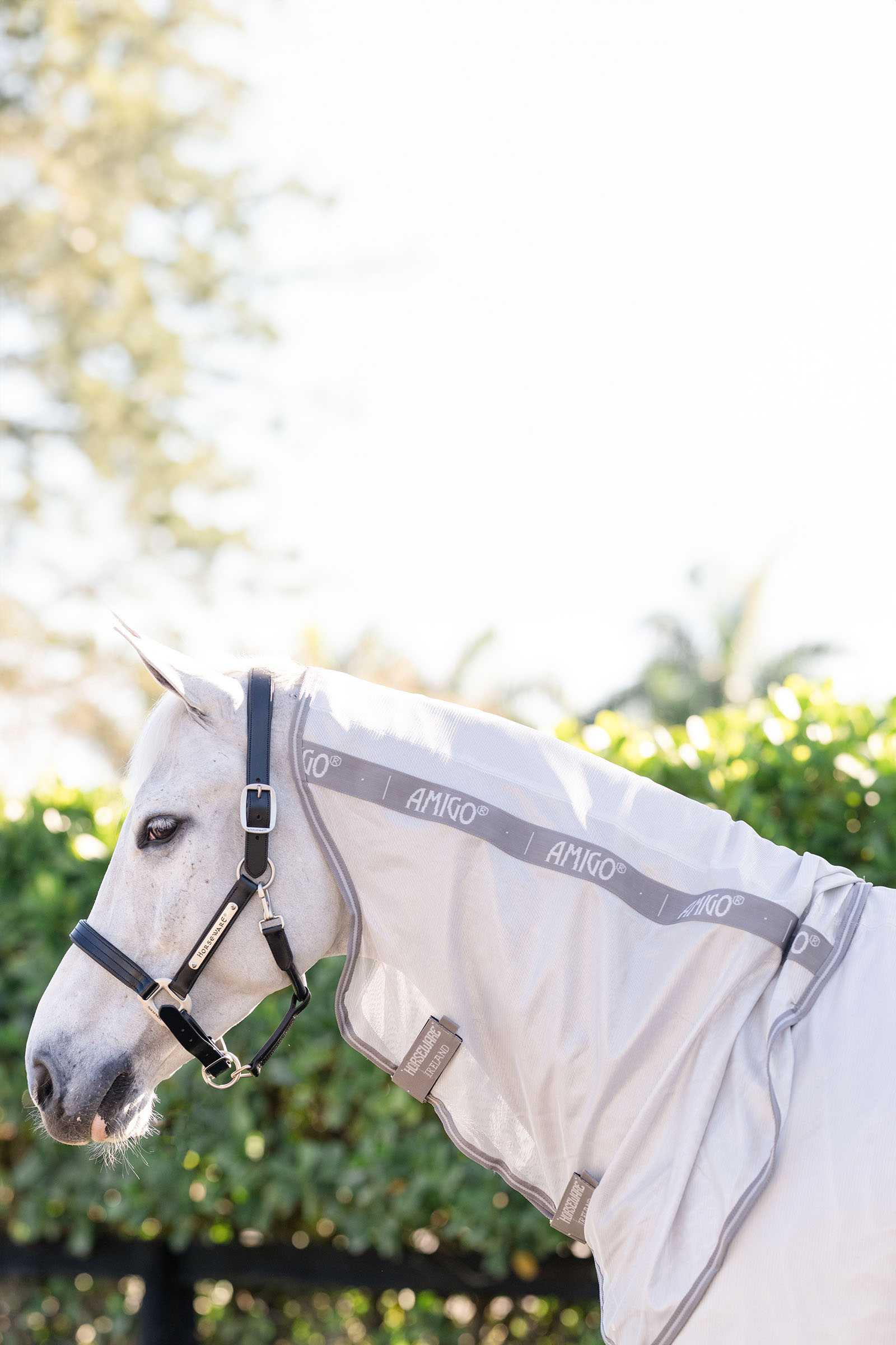 Horseware Amigo Manta Antimoscas Integrada