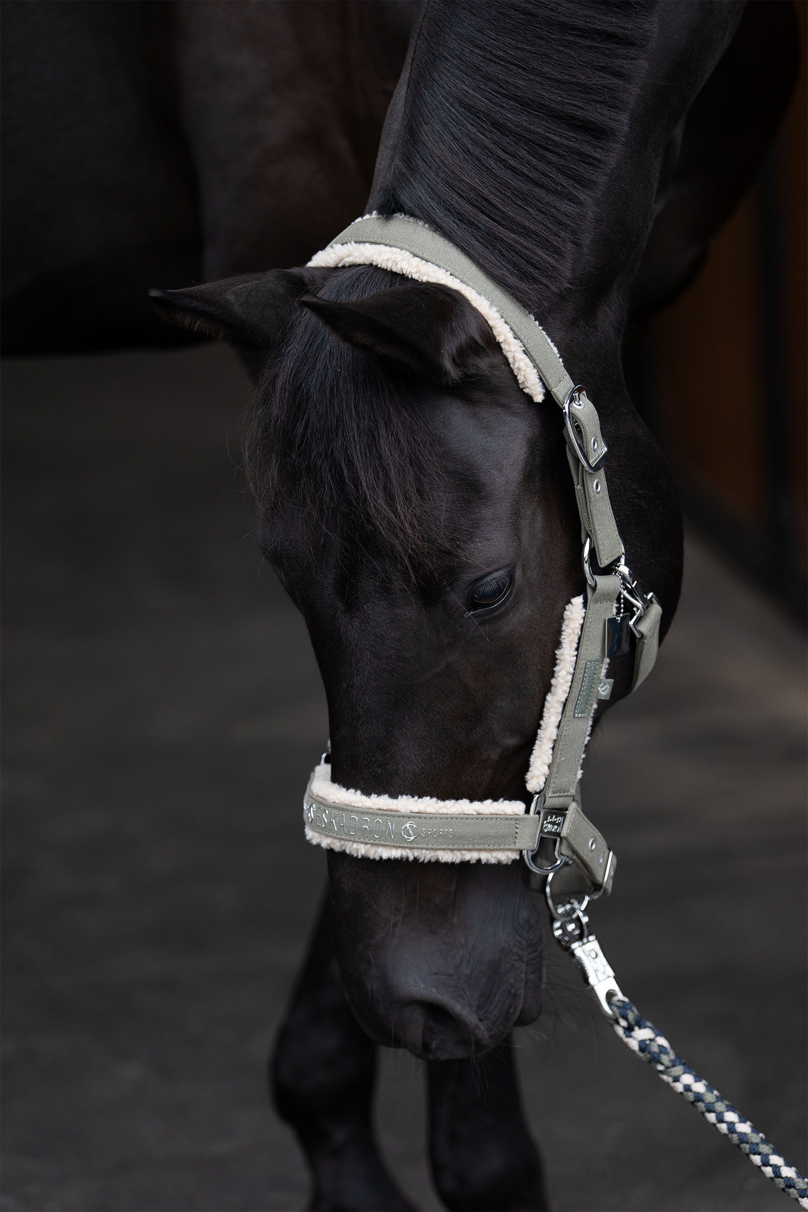 Eskadron Classic Sports SS25 Cabezada de denim con doble hebilla y forro de teddyfleece