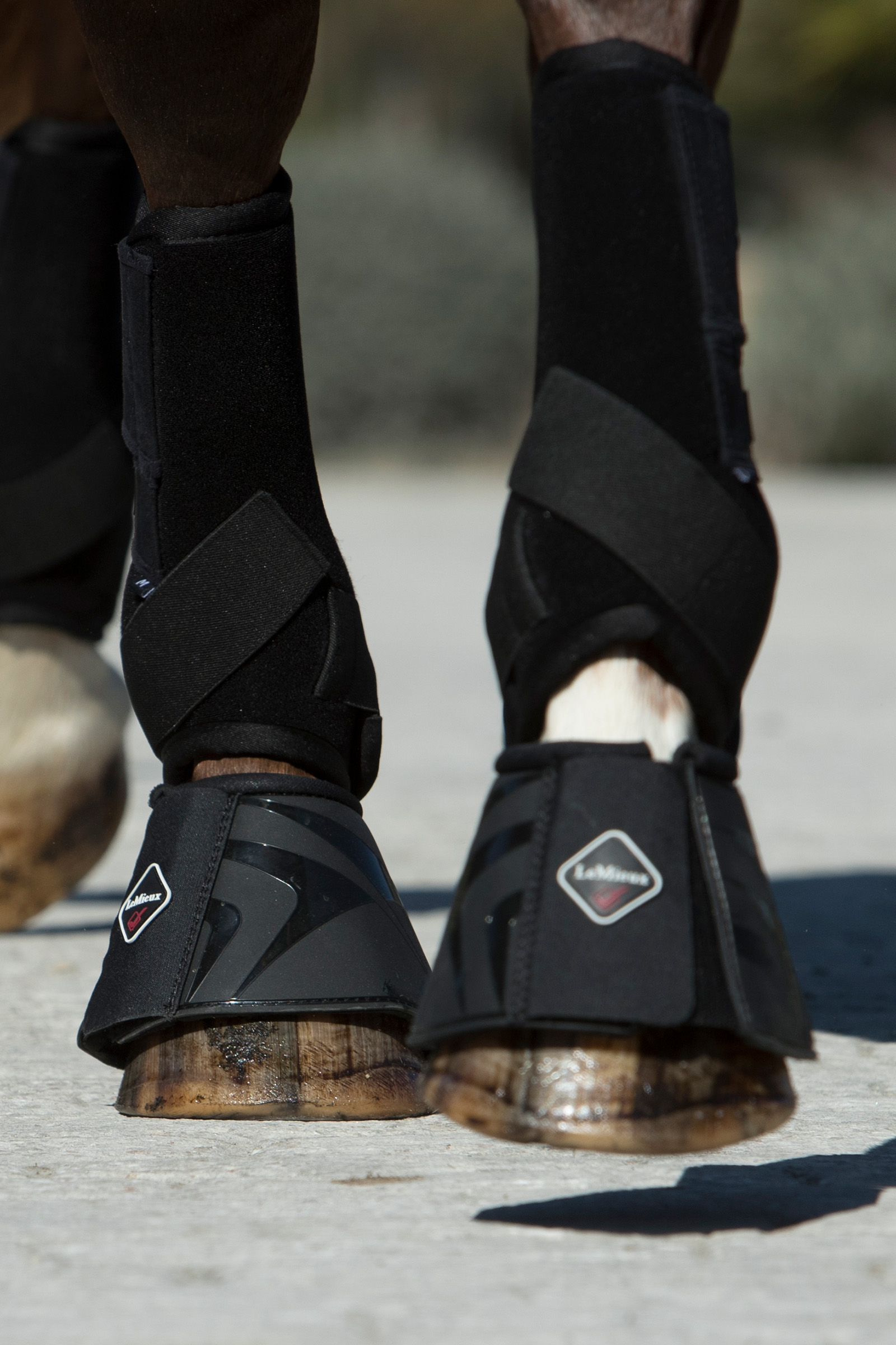 LeMieux Ultra Support Protectores para Caballo