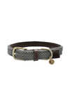Kentucky Dogwear collar de perro de nailon trenzado