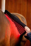 Horseware Pad terapéutico LED de luz roja