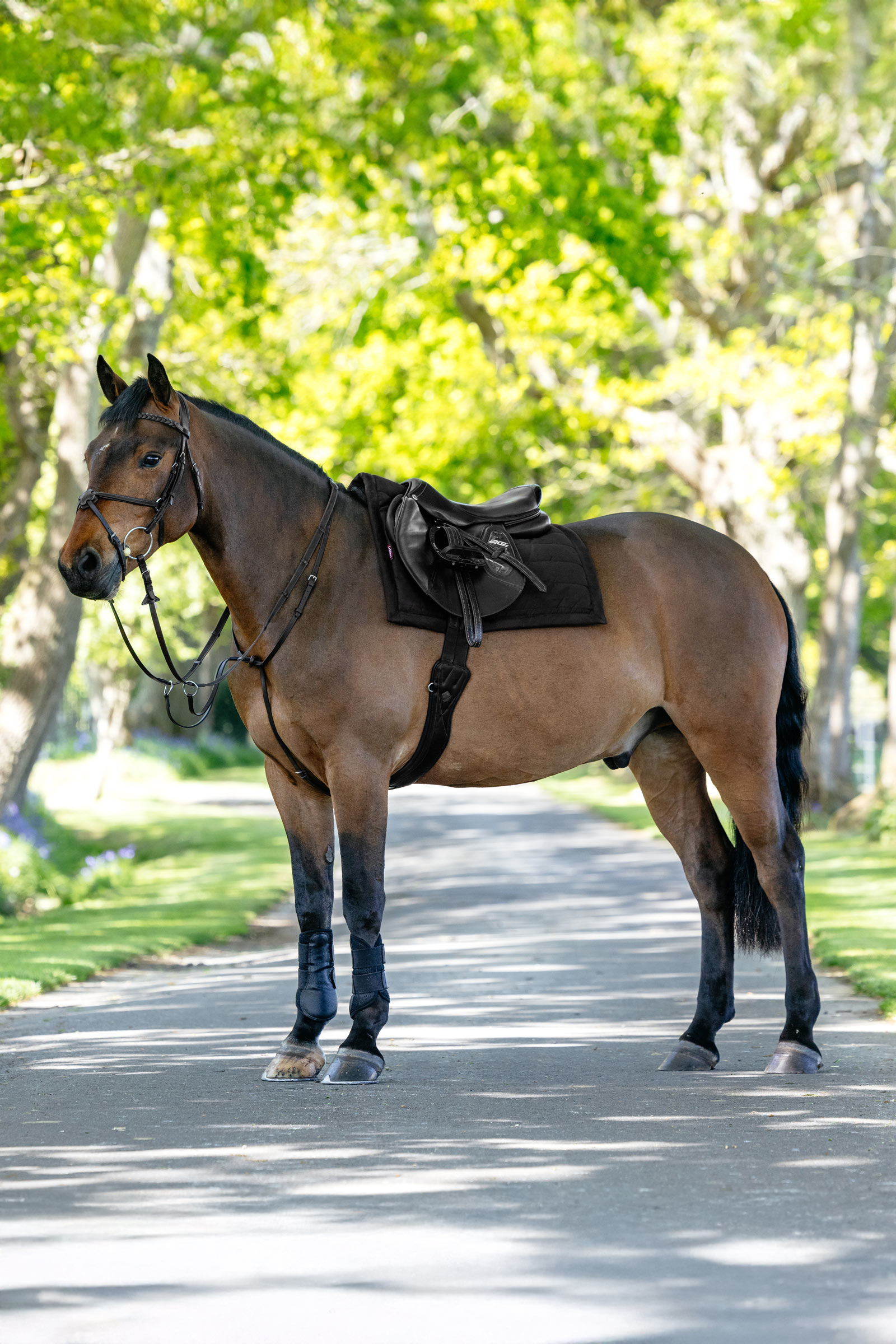 LeMieux Pillow mantilla uso general acolchada