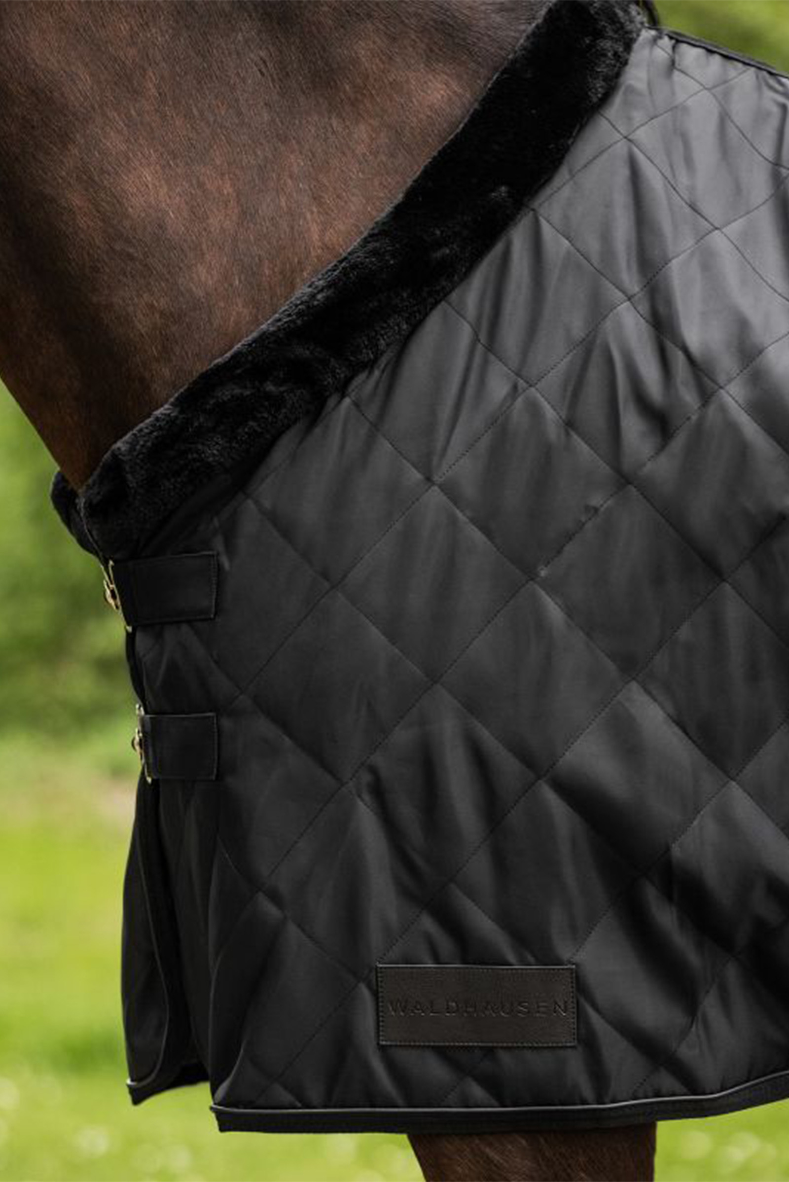 Waldhausen Exclusive Manta de viaje, 50g