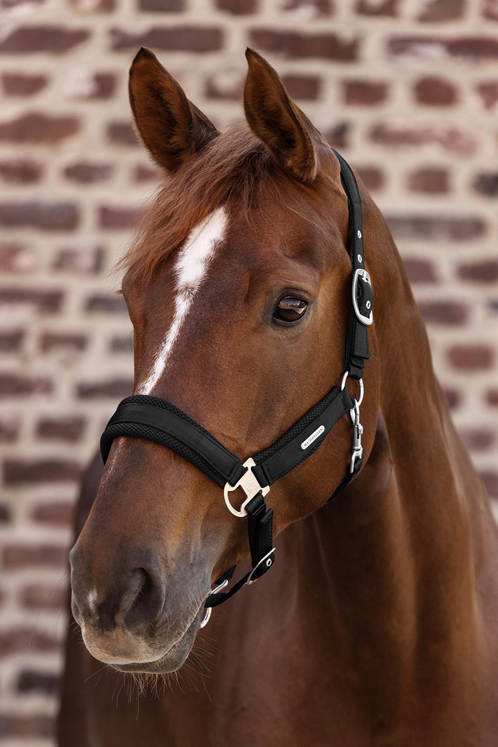 Waldhausen Breath Malla Cabezada