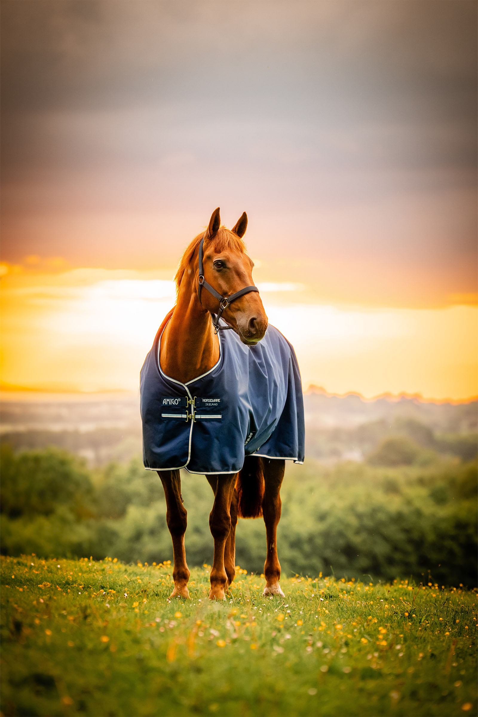 Horseware Amigo Manta de Exterior Ripstop 900D, 0g