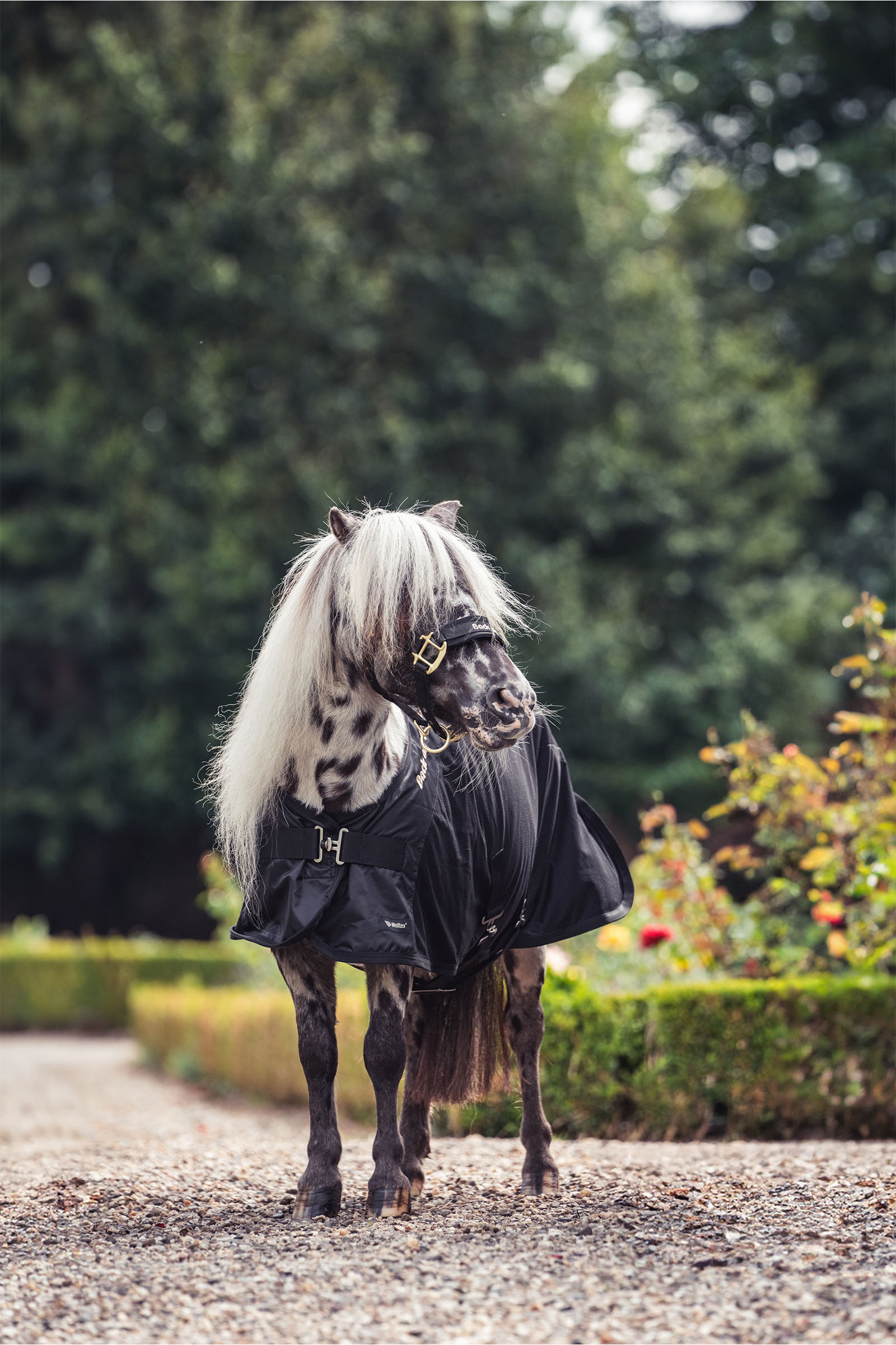 Back on Track Royal Manta de Malla para Pony Deluxe