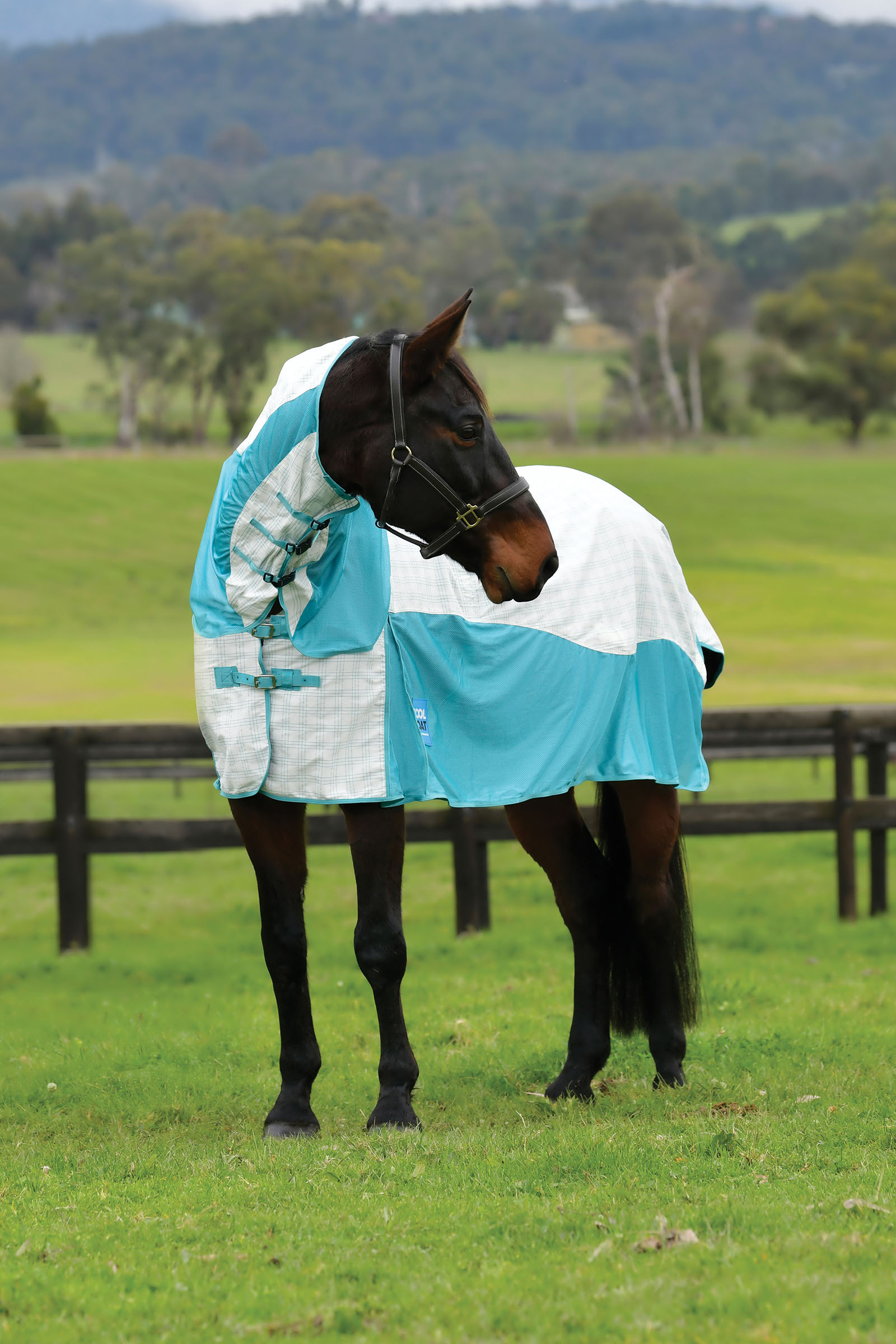 Weatherbeeta Kool Coat Algod&oacute;n Airstream Ii Detach-A-Neck