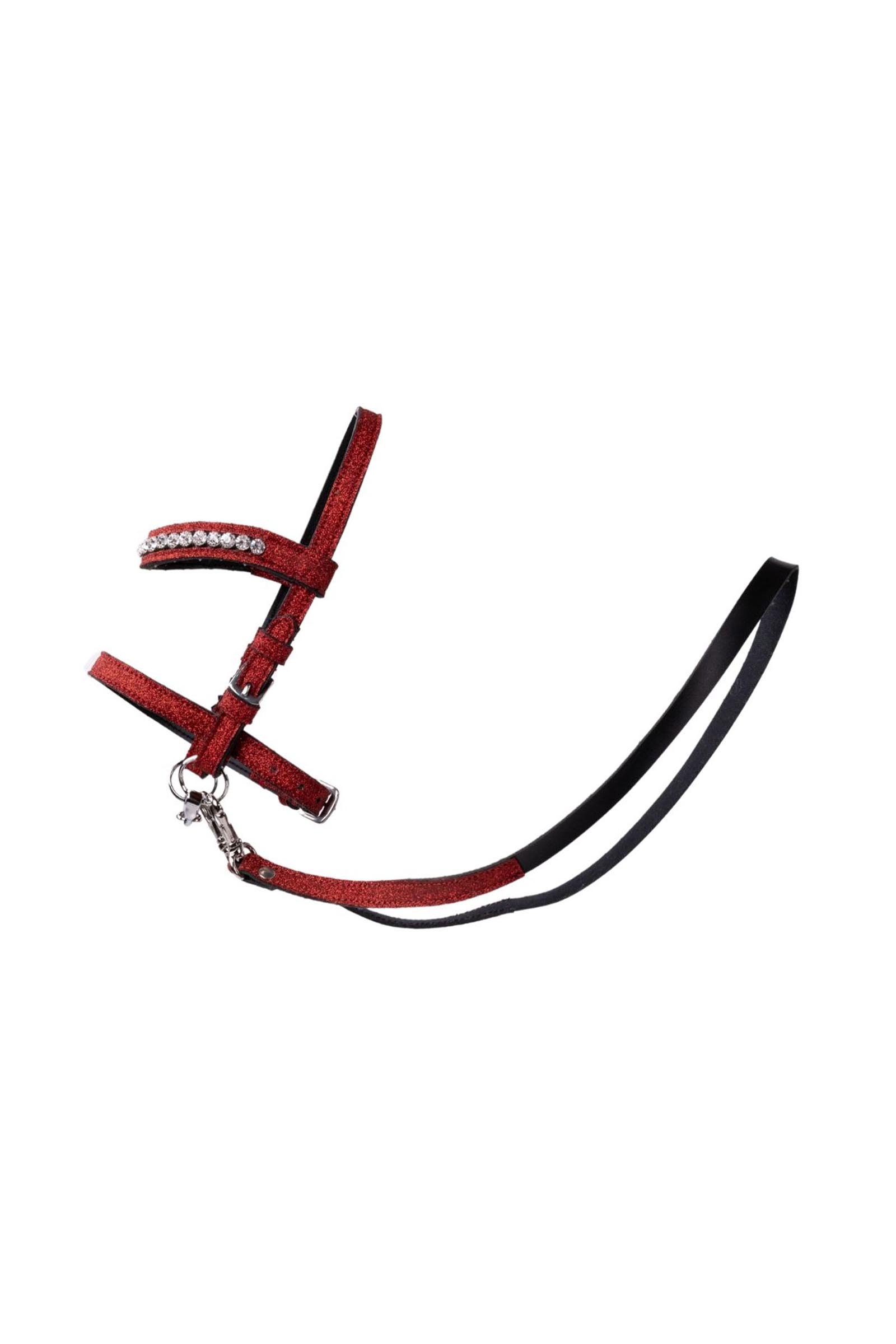 My Hobby Horse brida con brillo