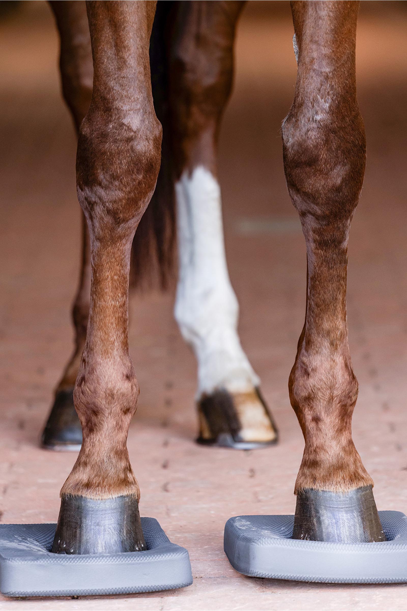 Waldhausen Health + Care Almohadillas de Equilibrio