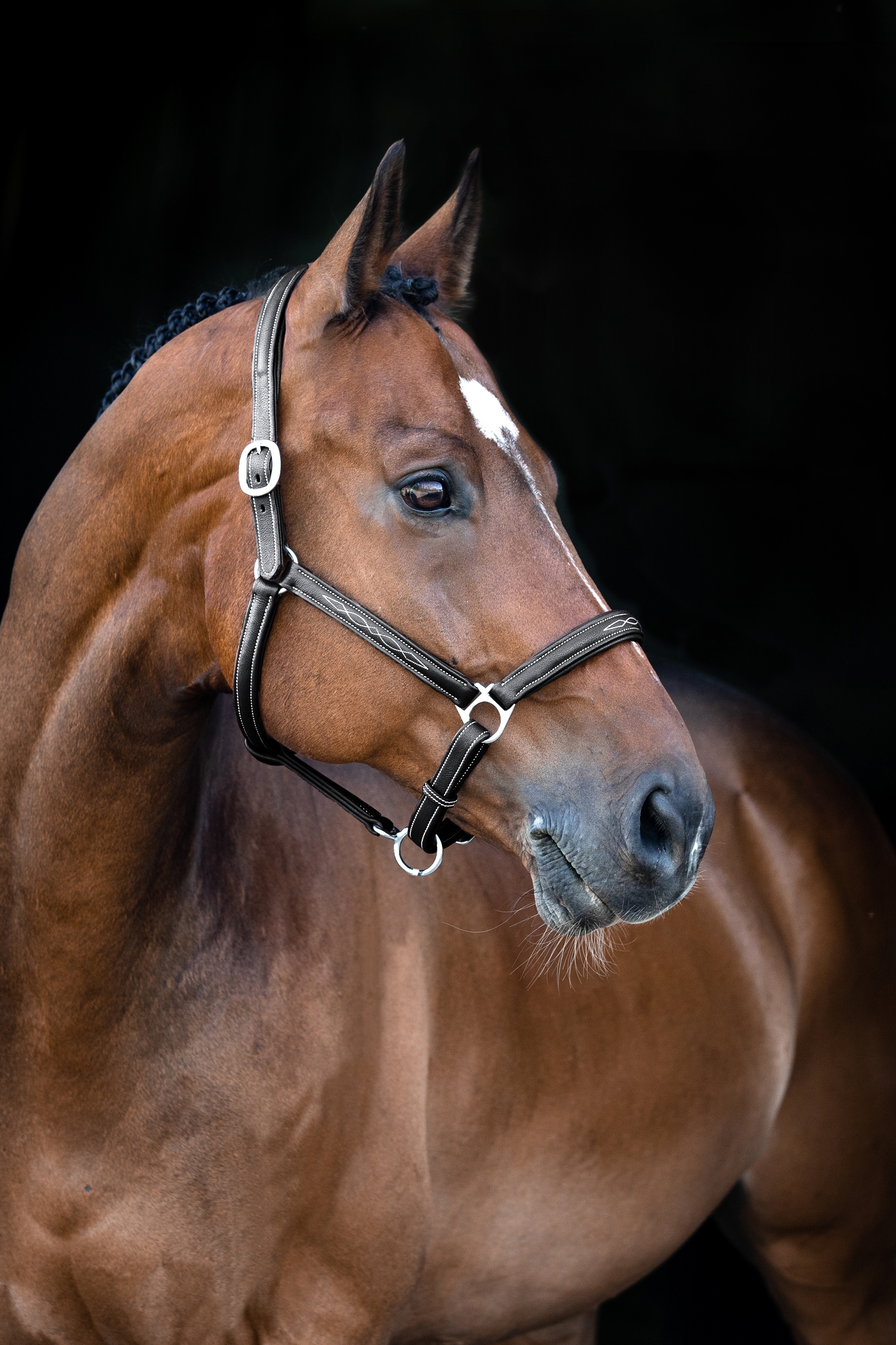 Cabezada de Cuadra de Cuero Suave Horze Warren