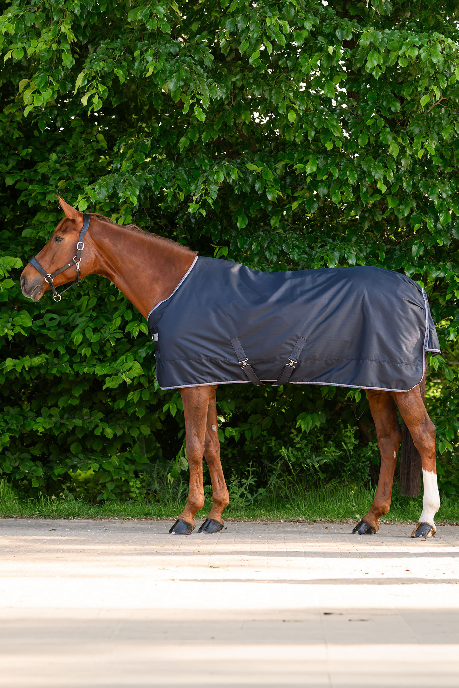 Waldhausen ECONOMIC manta exterior, 200g