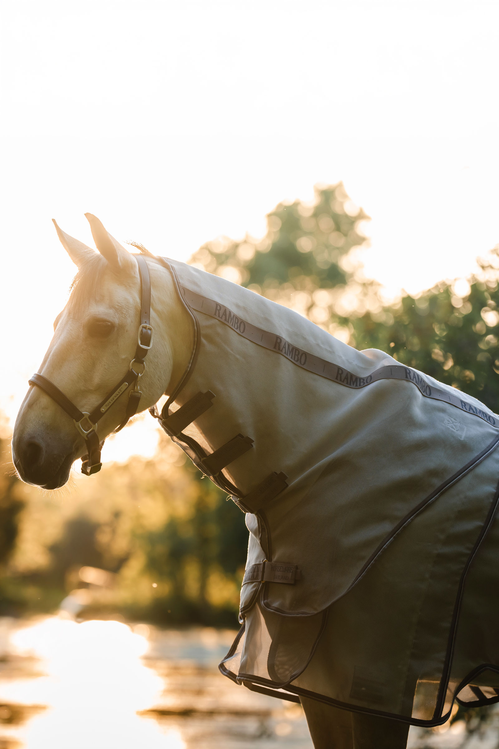 Horseware Rambo Optimo Protector Plus manta