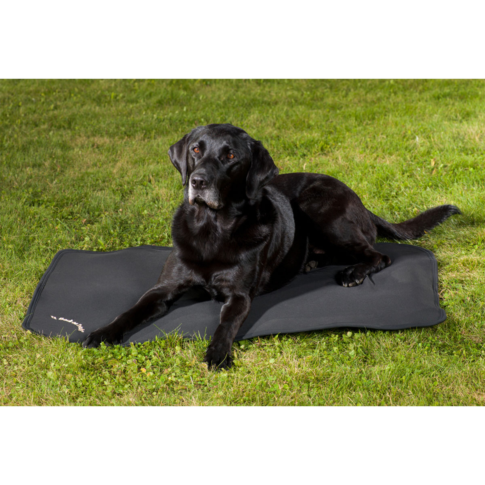 Revestimiento de cama para perros Back on Track, 100x68