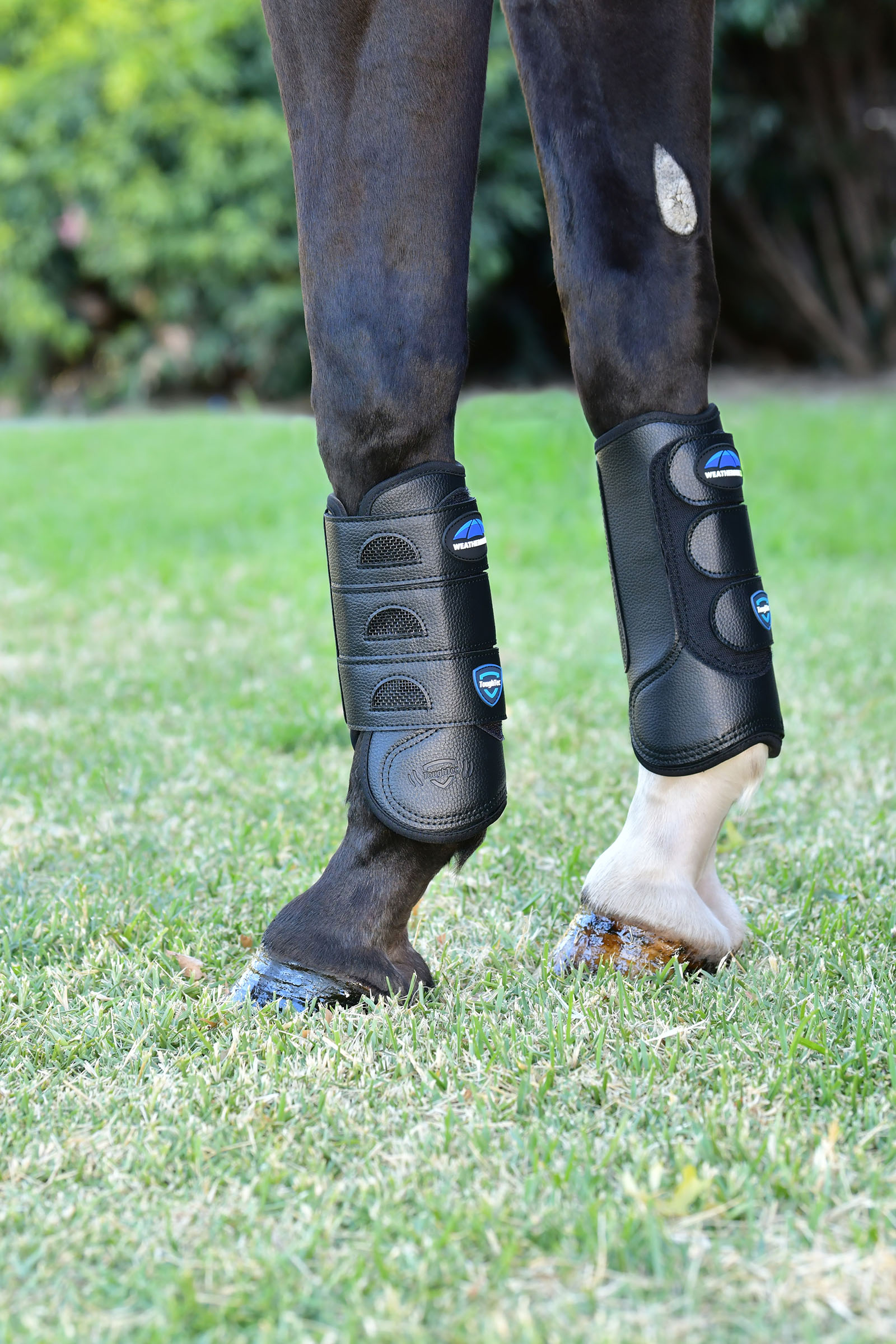 Weatherbeeta Tough-Tec Eventing Botas Frontales