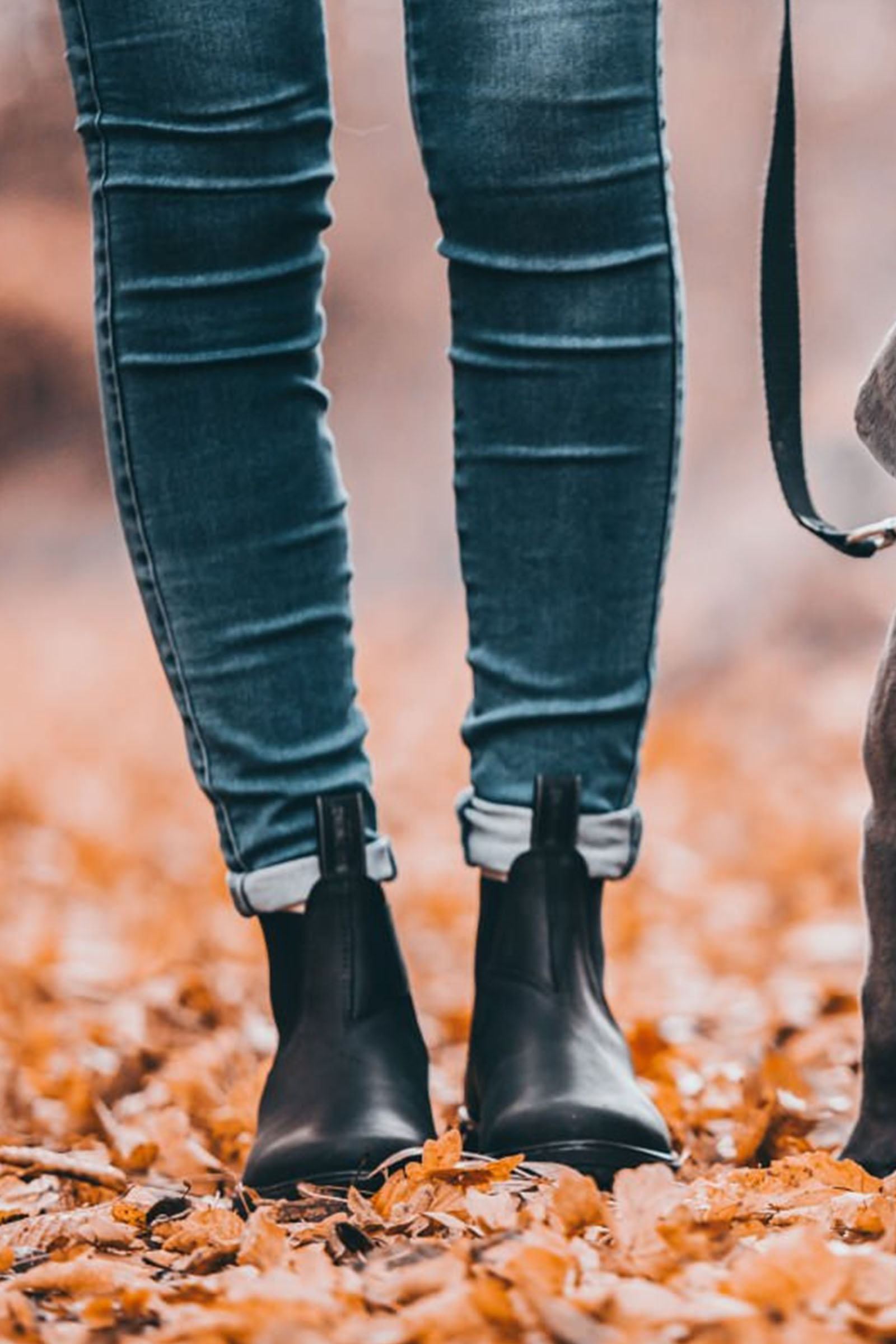 Suedwind Footwear 1888 Botas Chelsea Jodhpur