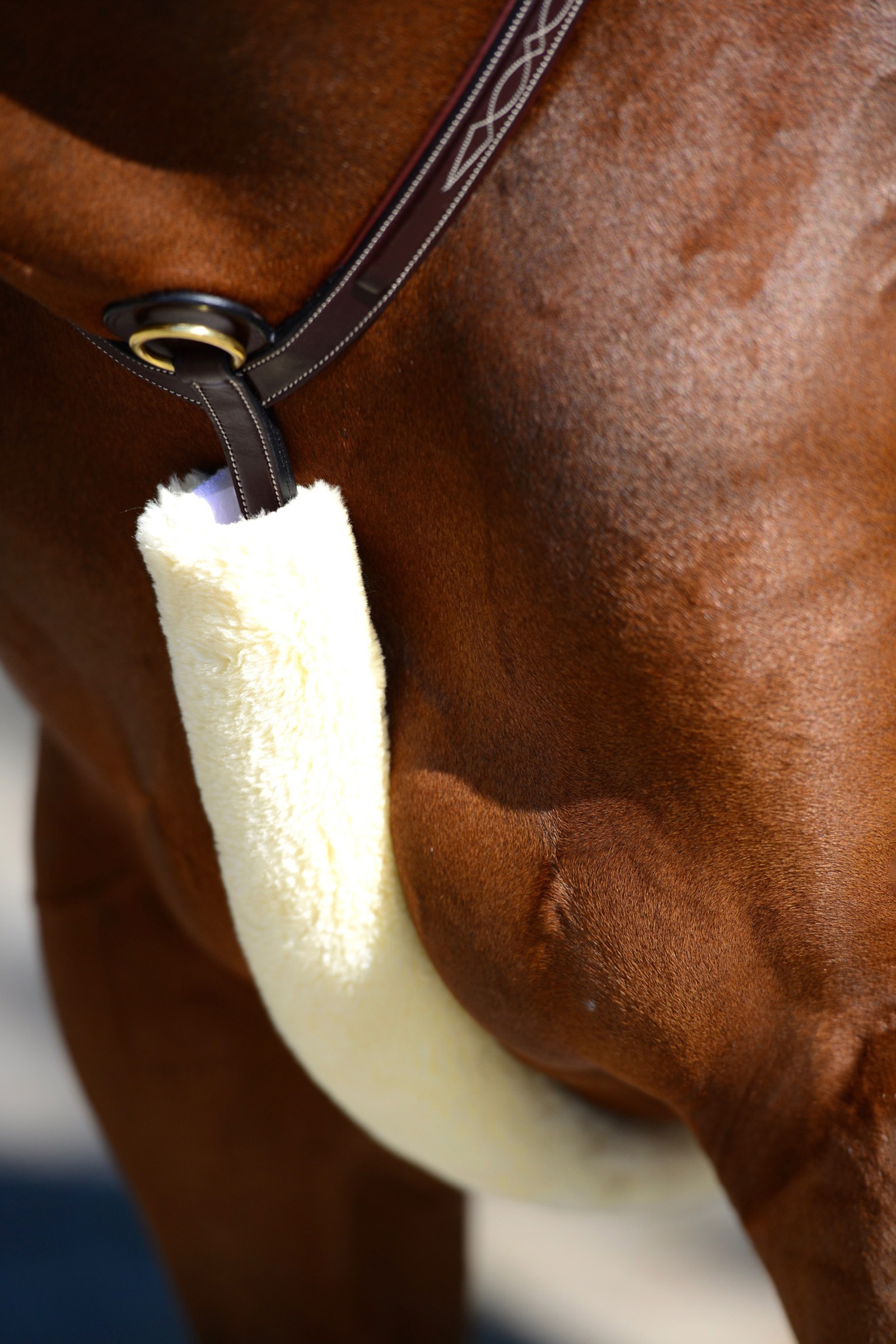 Natural Cubierta de peto de piel de oveja Kentucky Horsewear