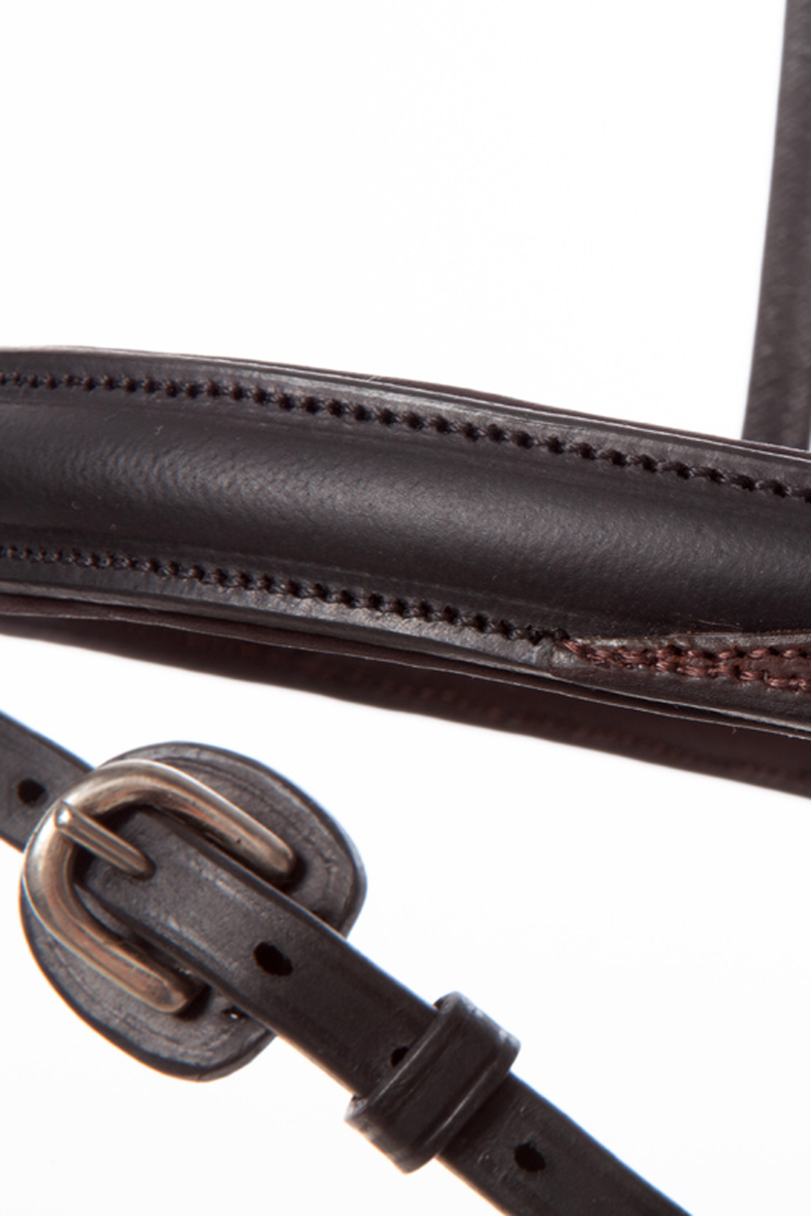 Cabezada Kavalkade EveryDay