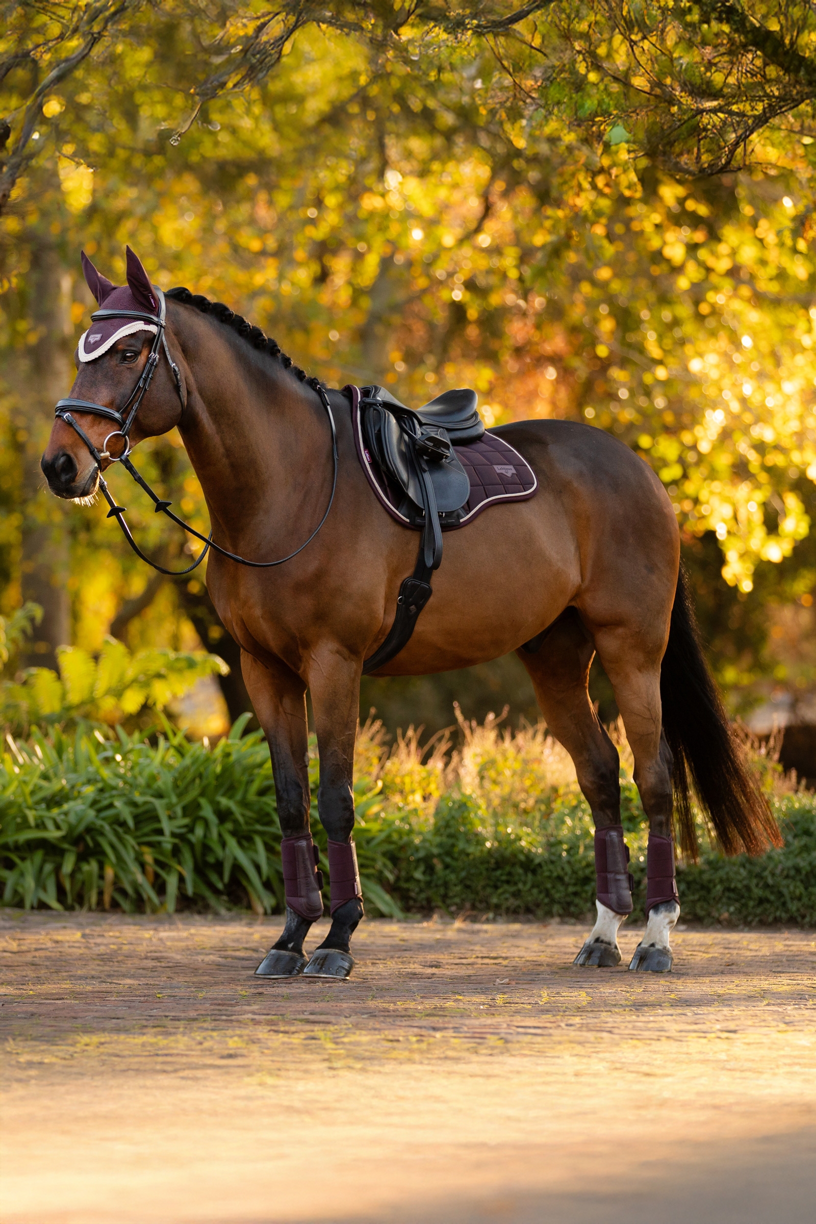 LeMieux Loire sudadero cuadrado cl&aacute;sico uso general
