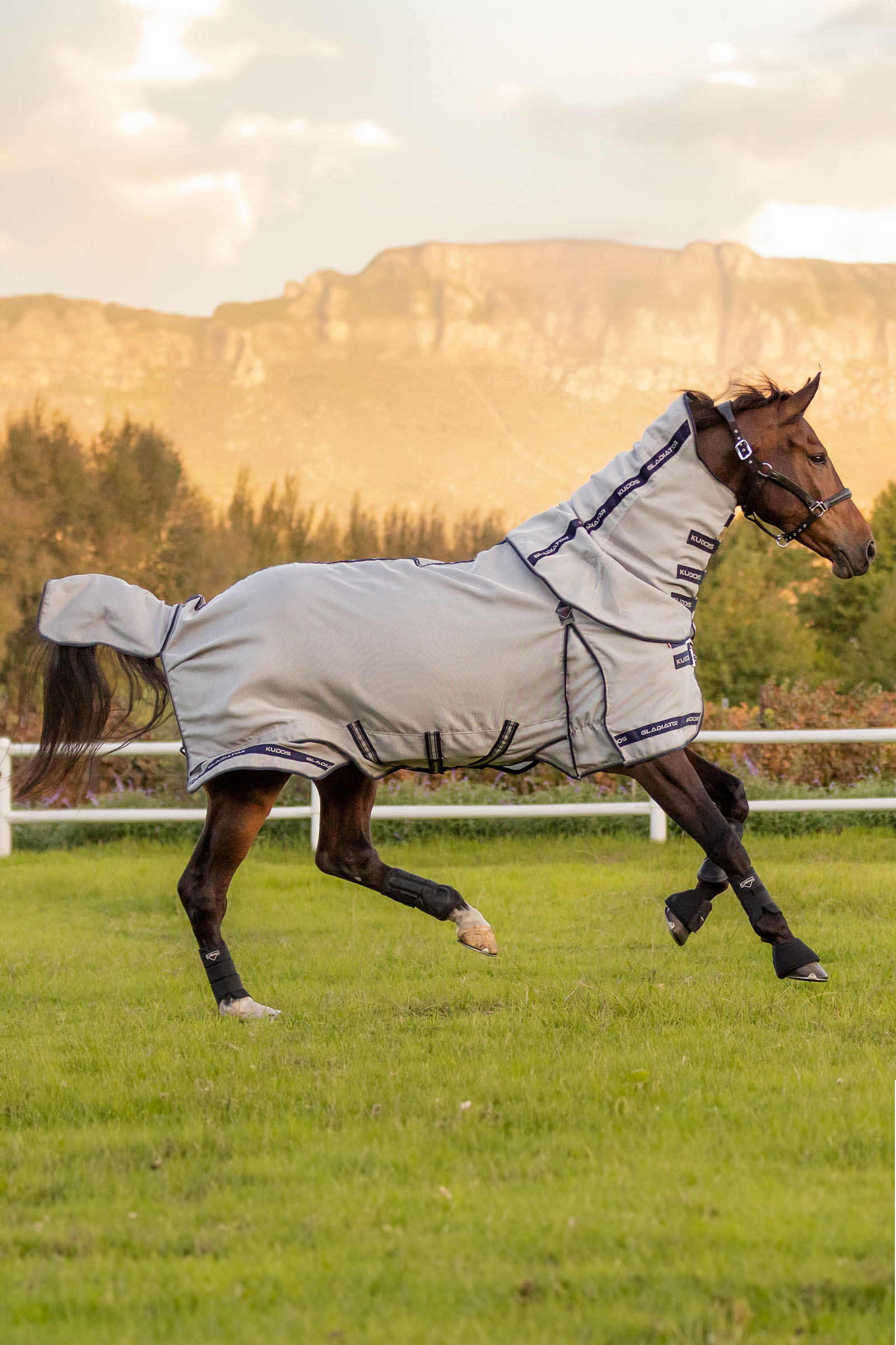 LeMieux Kudos Gladiator manta antimoscas