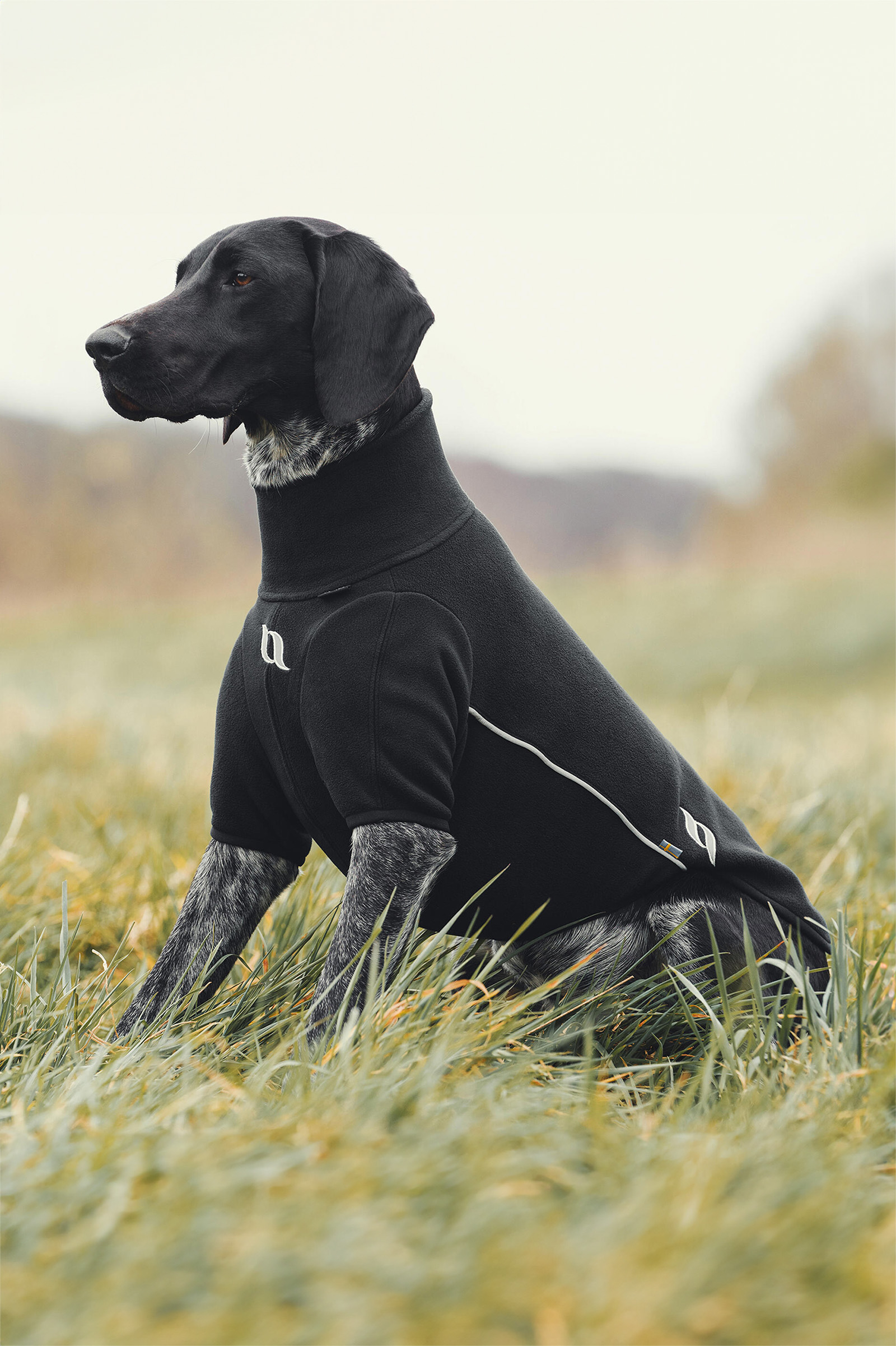 Suéter para Todo Tipo de Clima Back on Track Cassie, 65-70cm