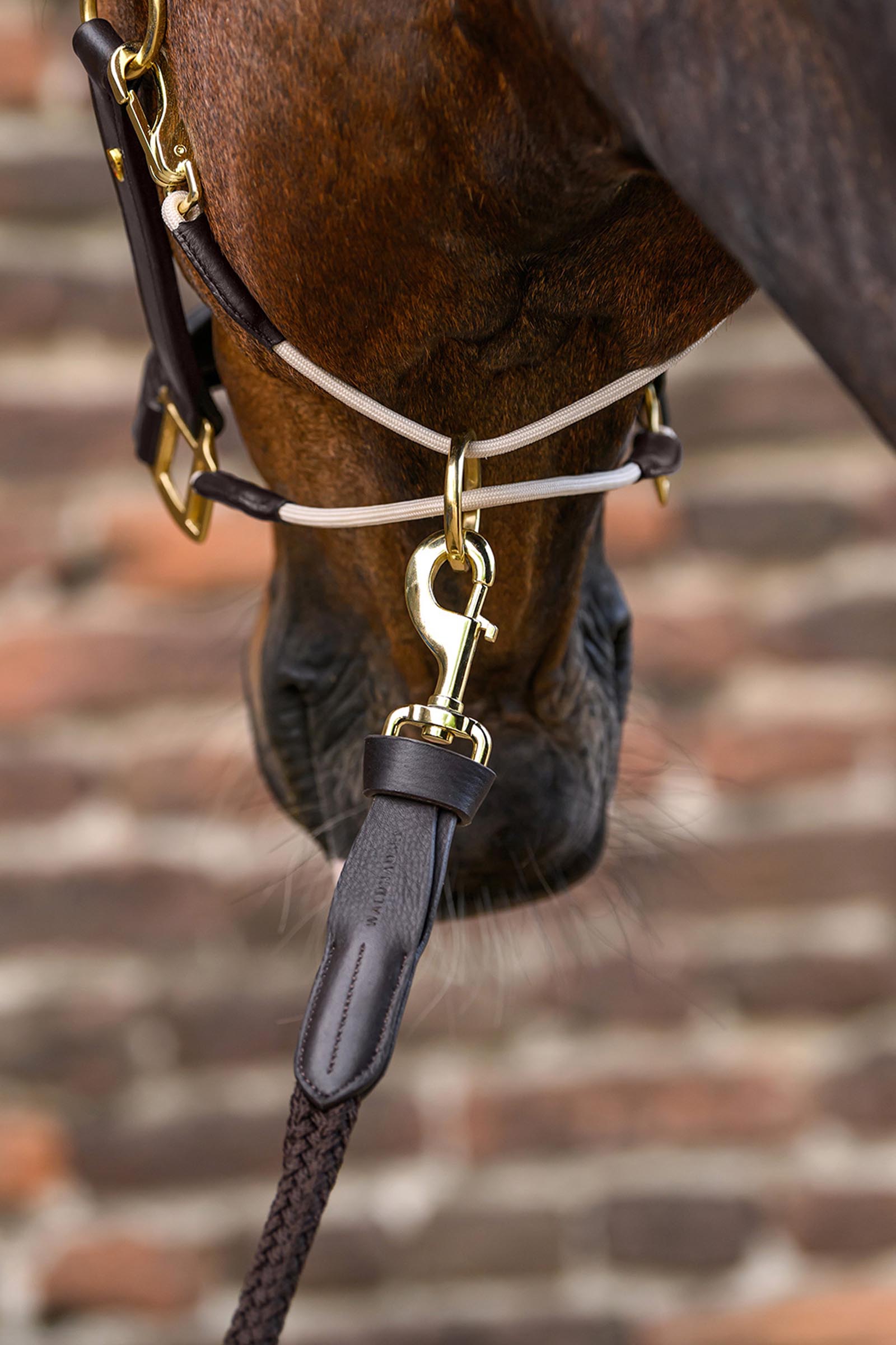 Royal Waldhausen S-Line cabezada de cuero