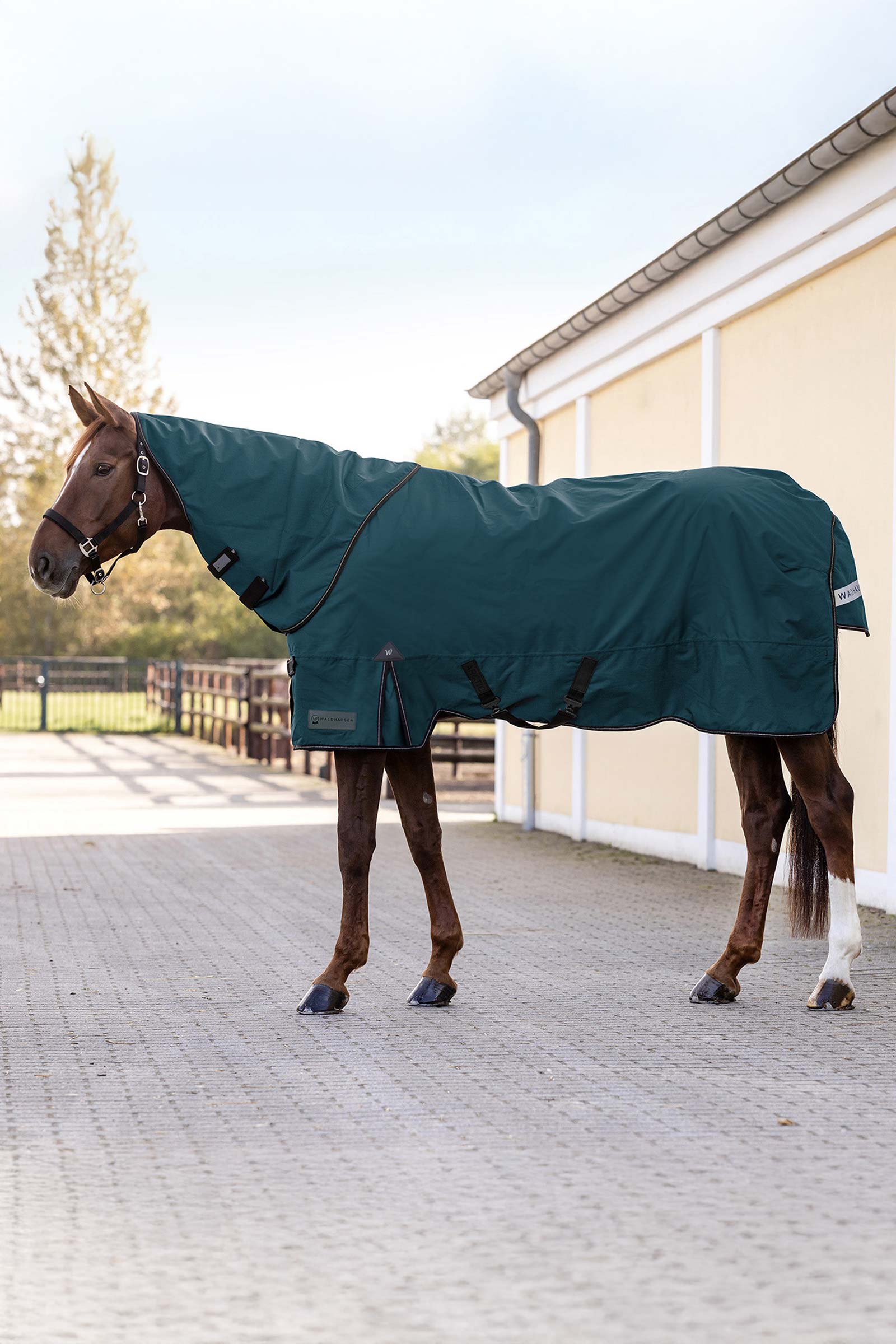 Waldhausen 600D Outdoor Neck Rug, 200 g