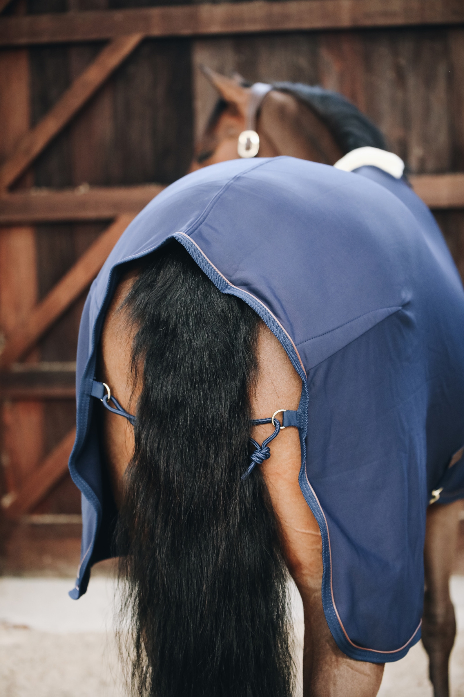 Refrigerador peque&ntilde;o de forro polar Kentucky Horsewear