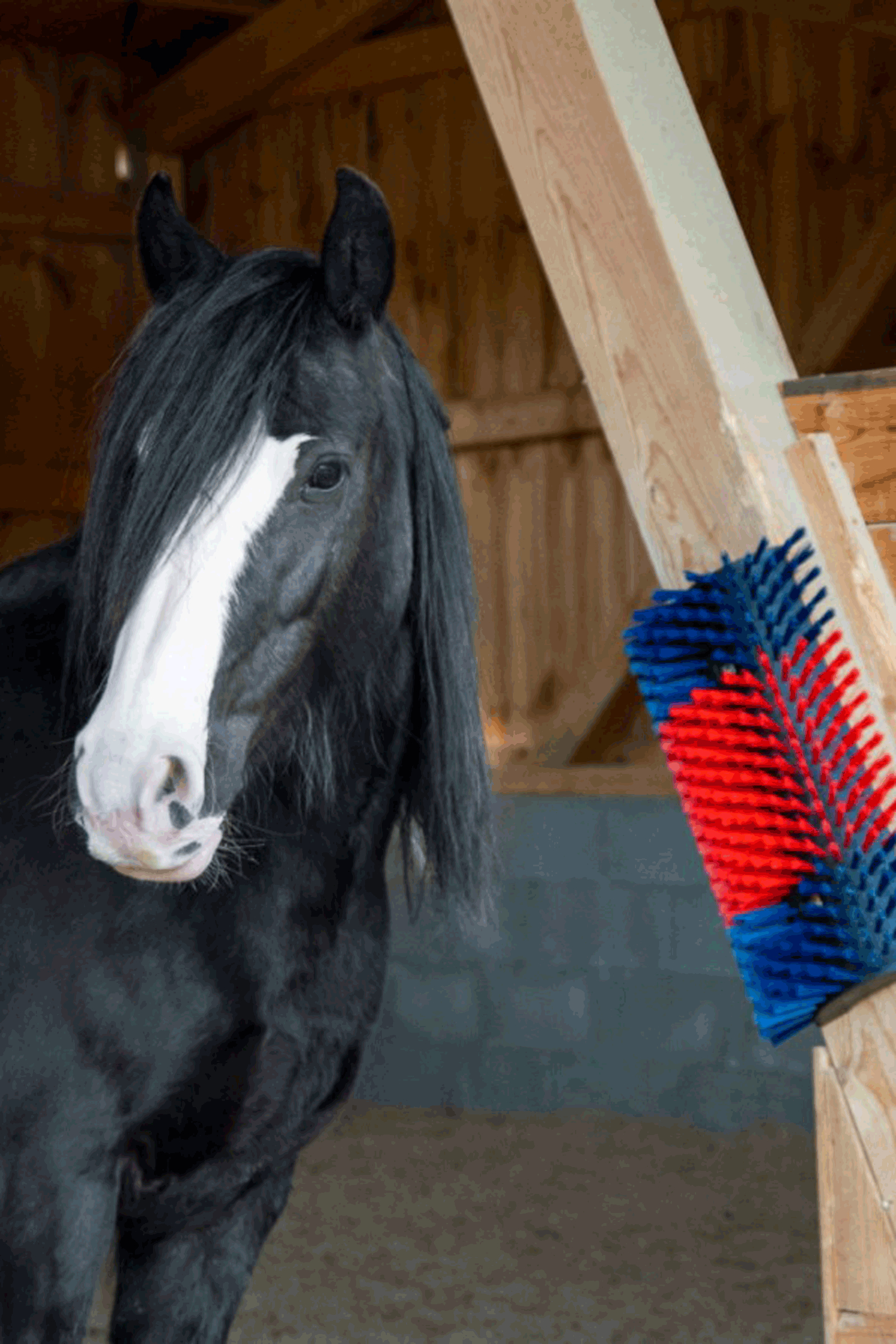 Cepillo rascador XL Kerbl, redondo