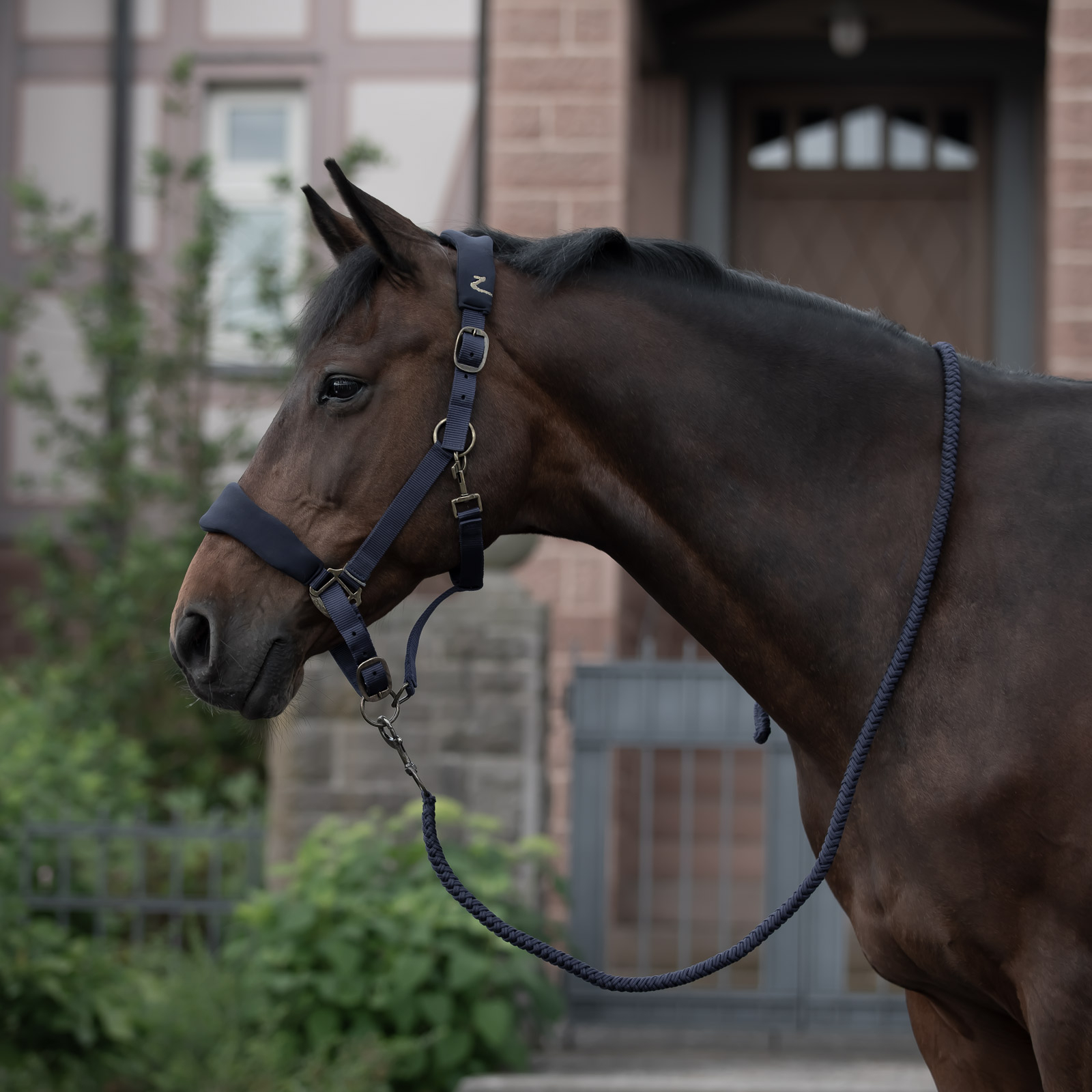 Cabezada de Cuadra Horze Graz
