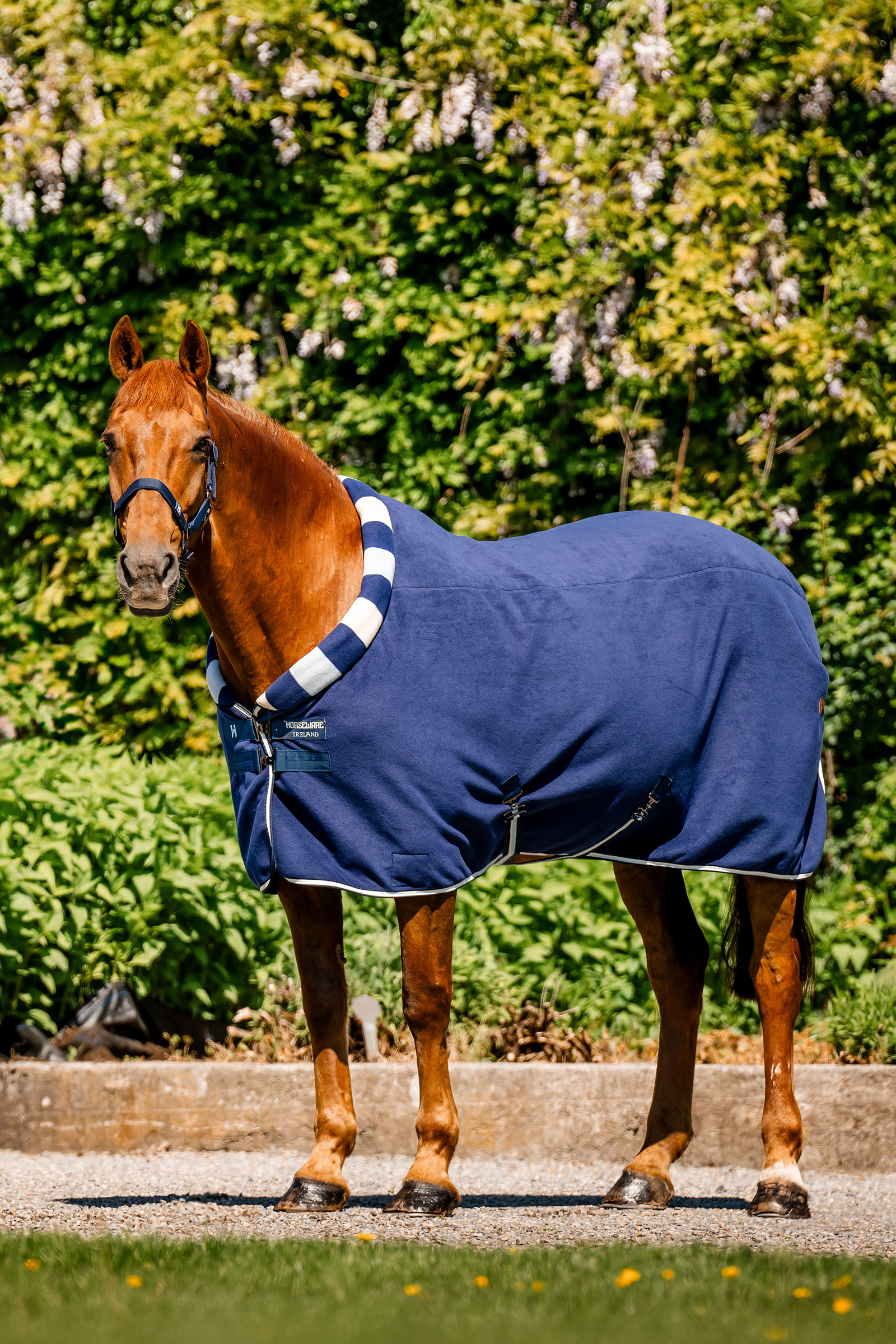 Horseware Newmarket Cosy Fleece Manta de Secado