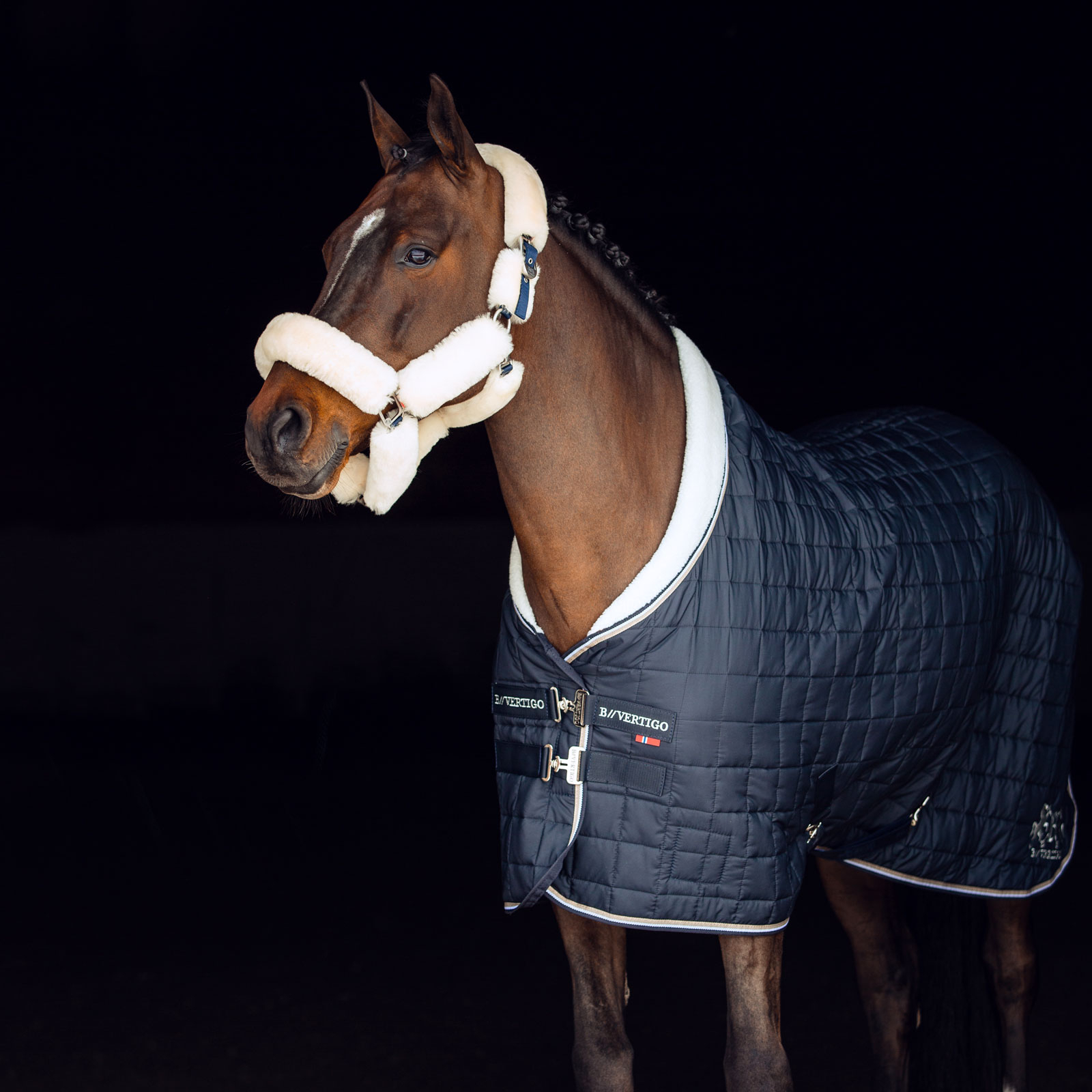 Cabezada de Cuadra con Piel SintéticoB Vertigo Alaska