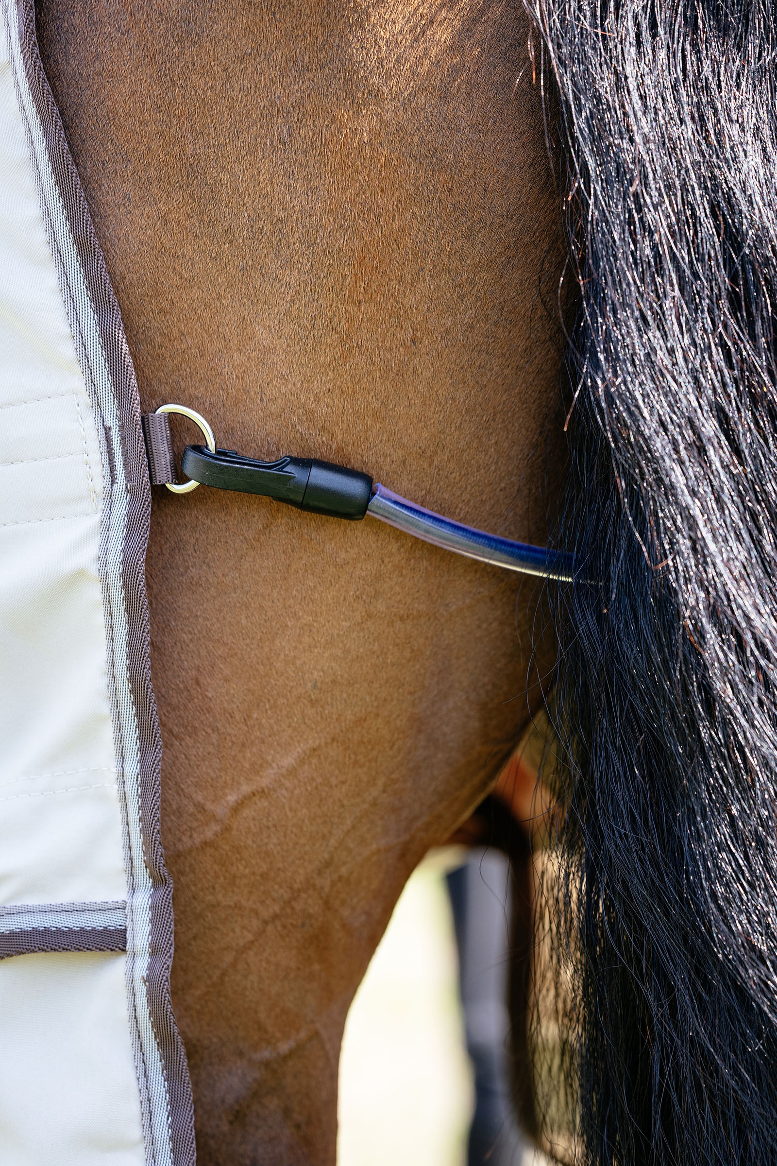 LeMieux Kudos Shower Pro manta anti-eccema con cuello desmontable