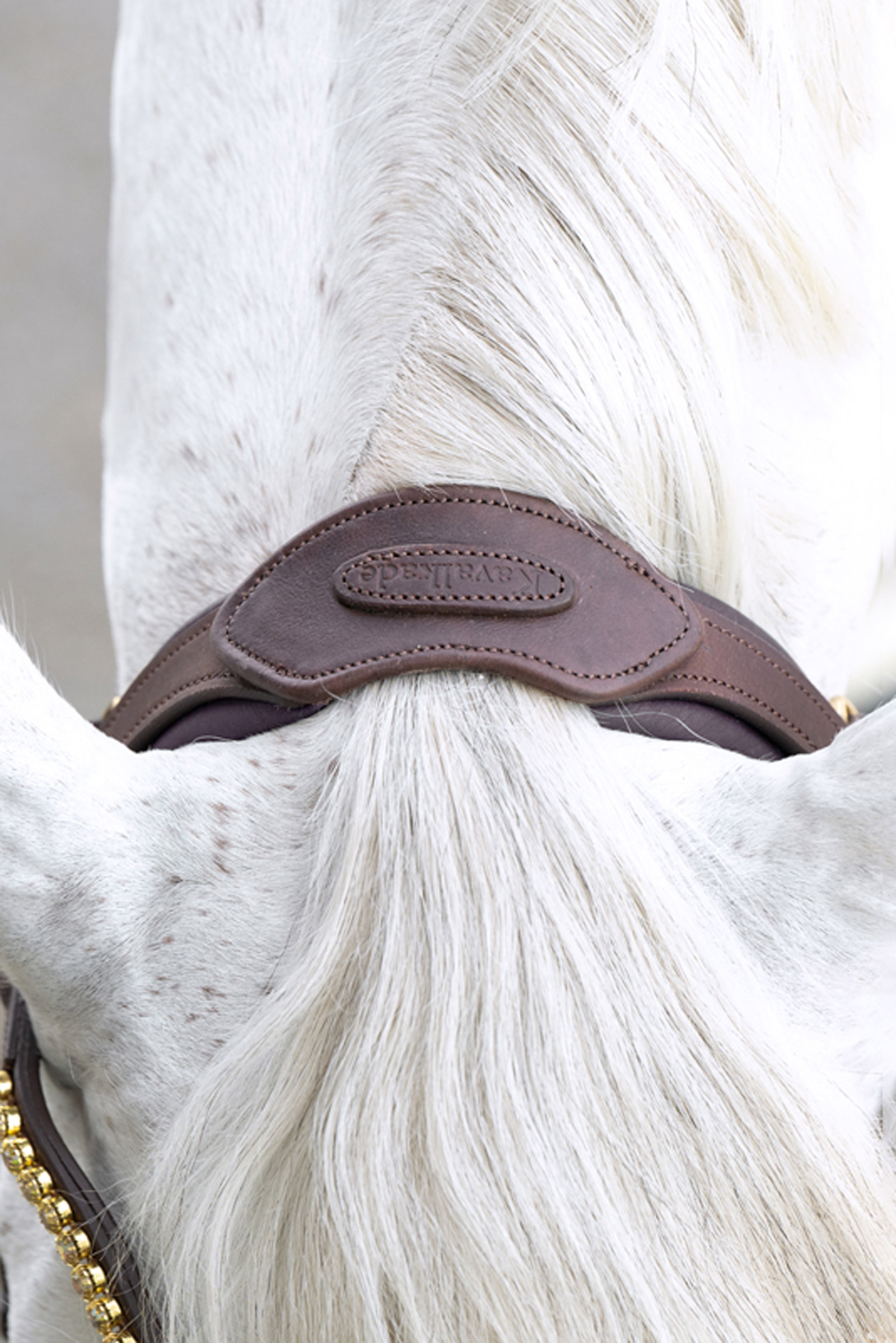 Kavalkade Caliano Brida Inglesa