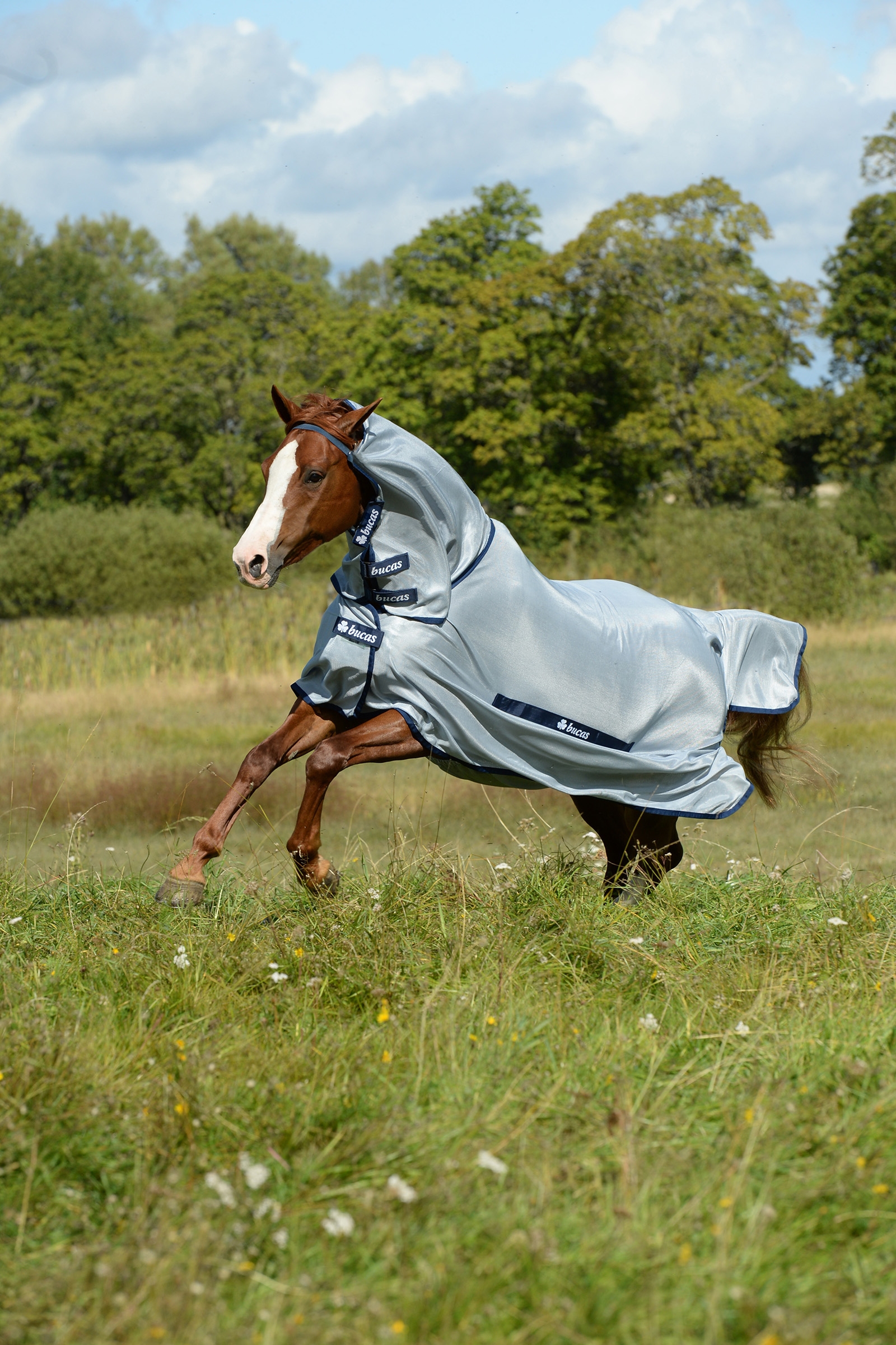 Manta Anti-Moscas con Cubre Cuello Completo con Cuello fijo para Poni Bucas Buzz-Off